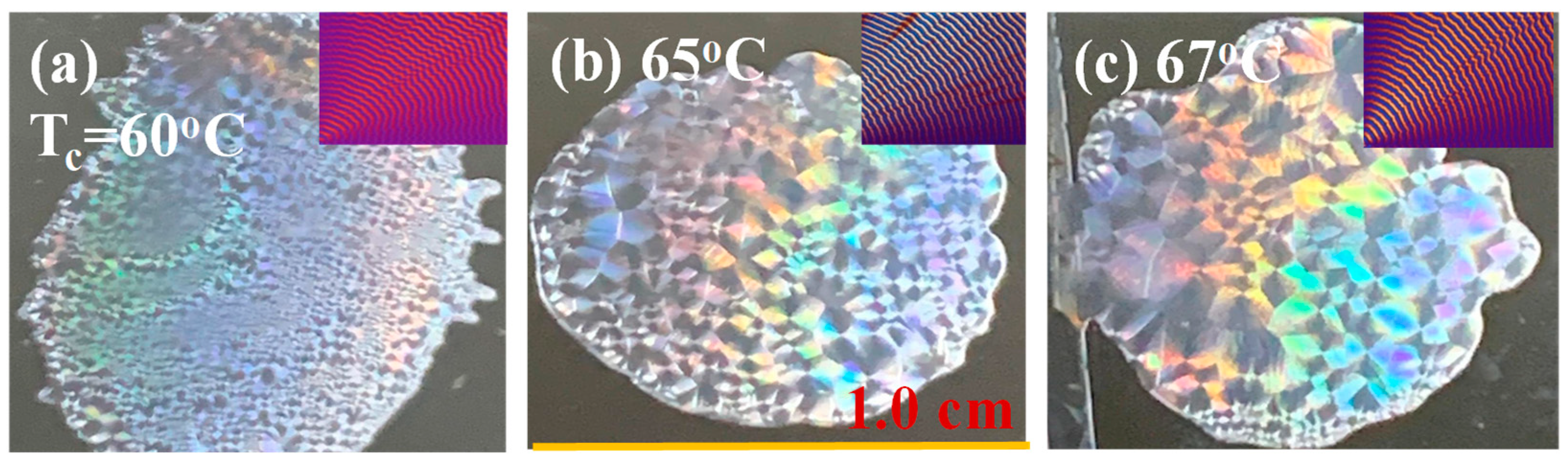 Polymers 15 00393 g013 Polymers 15 00393 g013