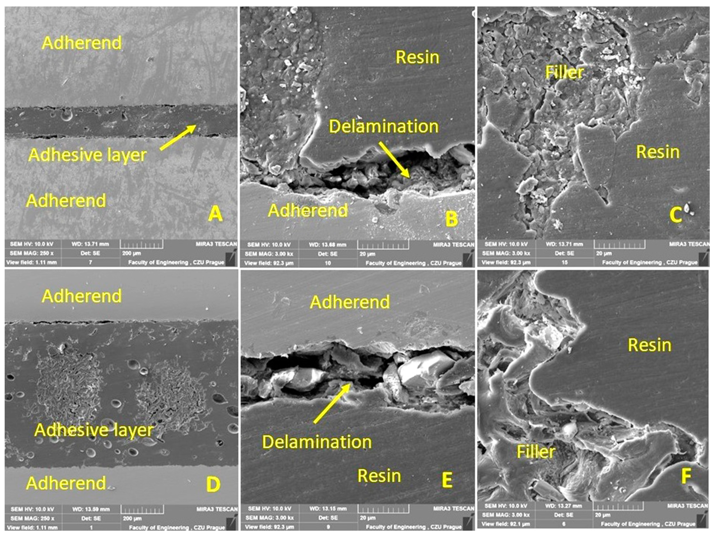 Polymers 15 00395 g011 Polymers 15 00395 g011