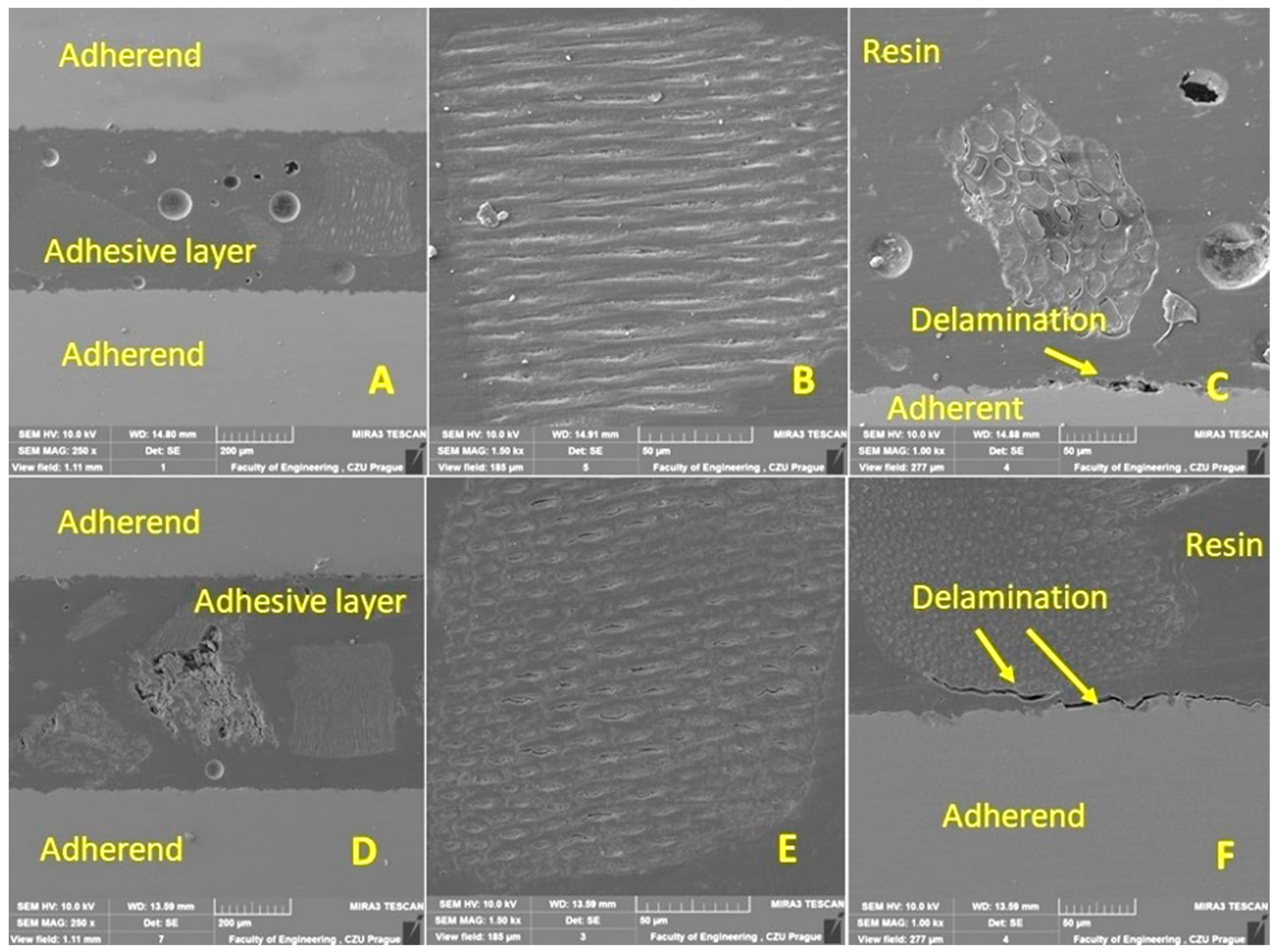 Polymers 15 00395 g012 Polymers 15 00395 g012