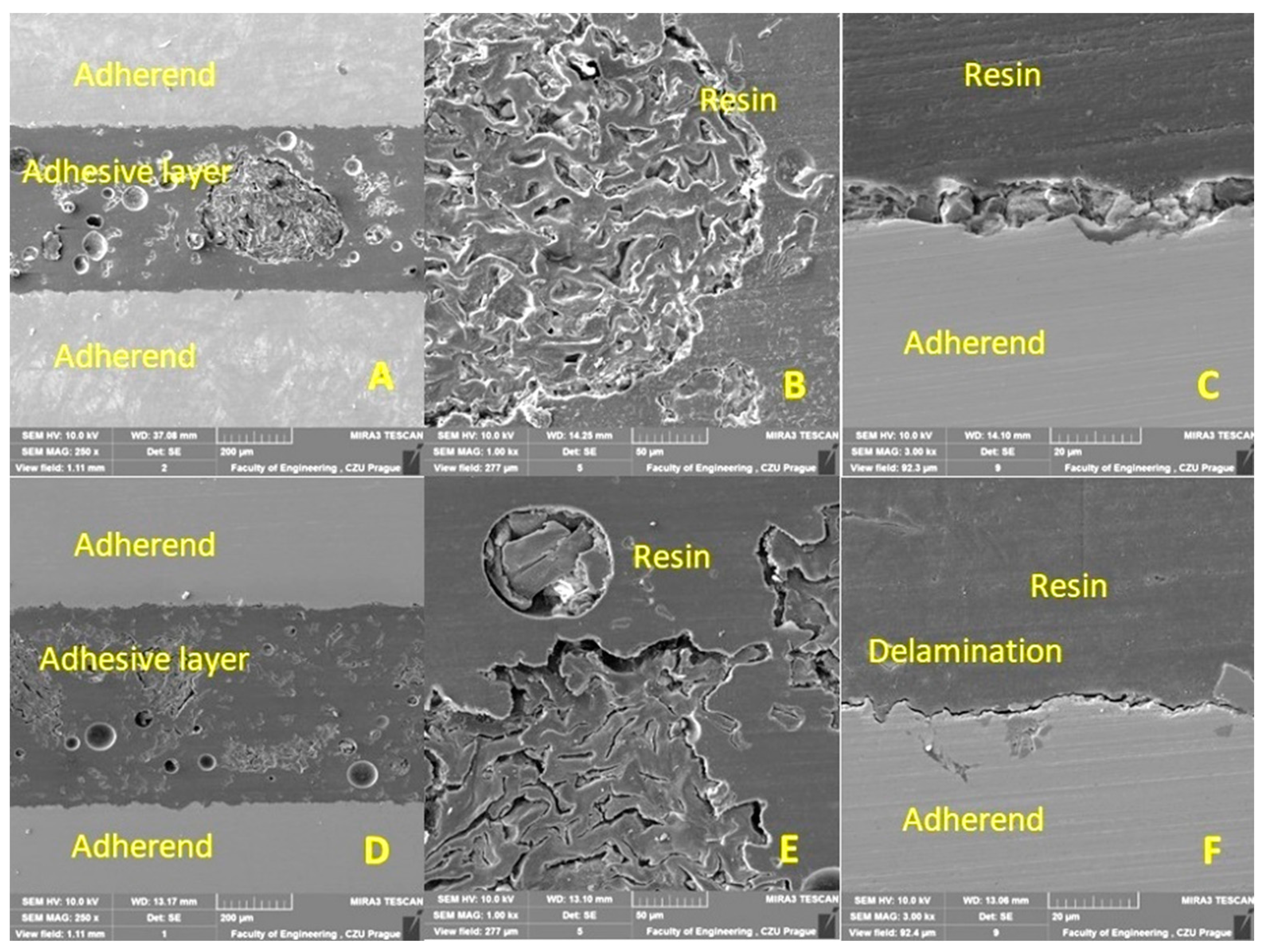 Polymers 15 00395 g013 Polymers 15 00395 g013