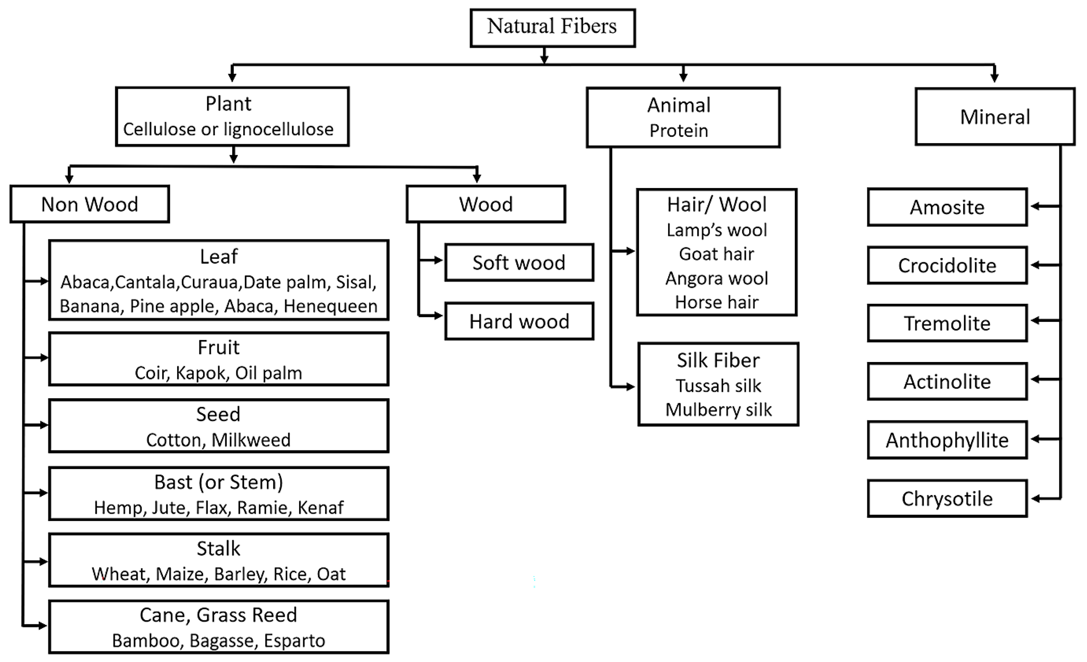 Polymers 15 00400 g001 Polymers 15 00400 g001