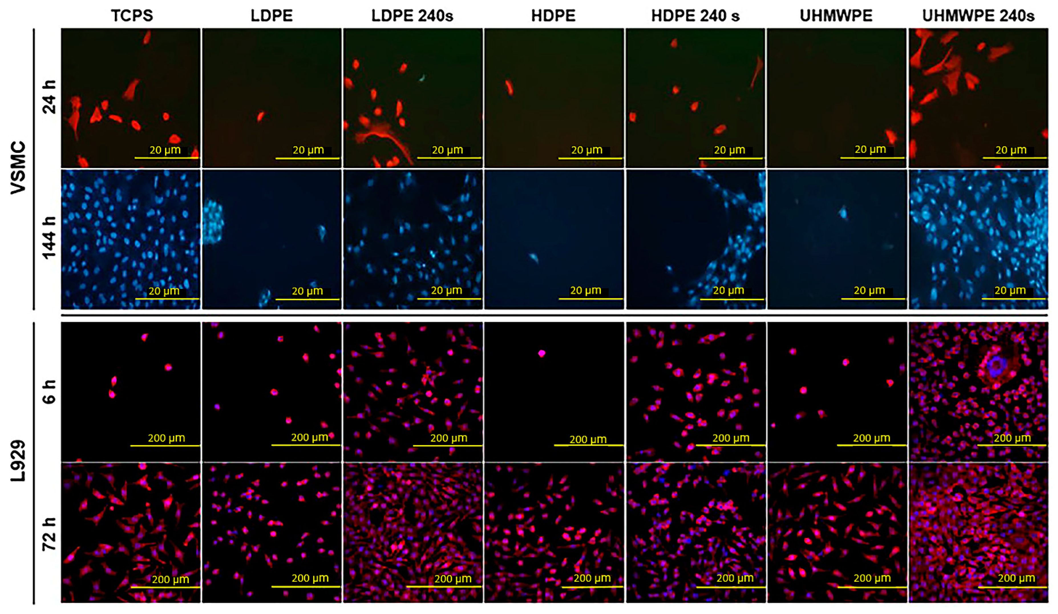 Polymers 15 00400 g007 Polymers 15 00400 g007