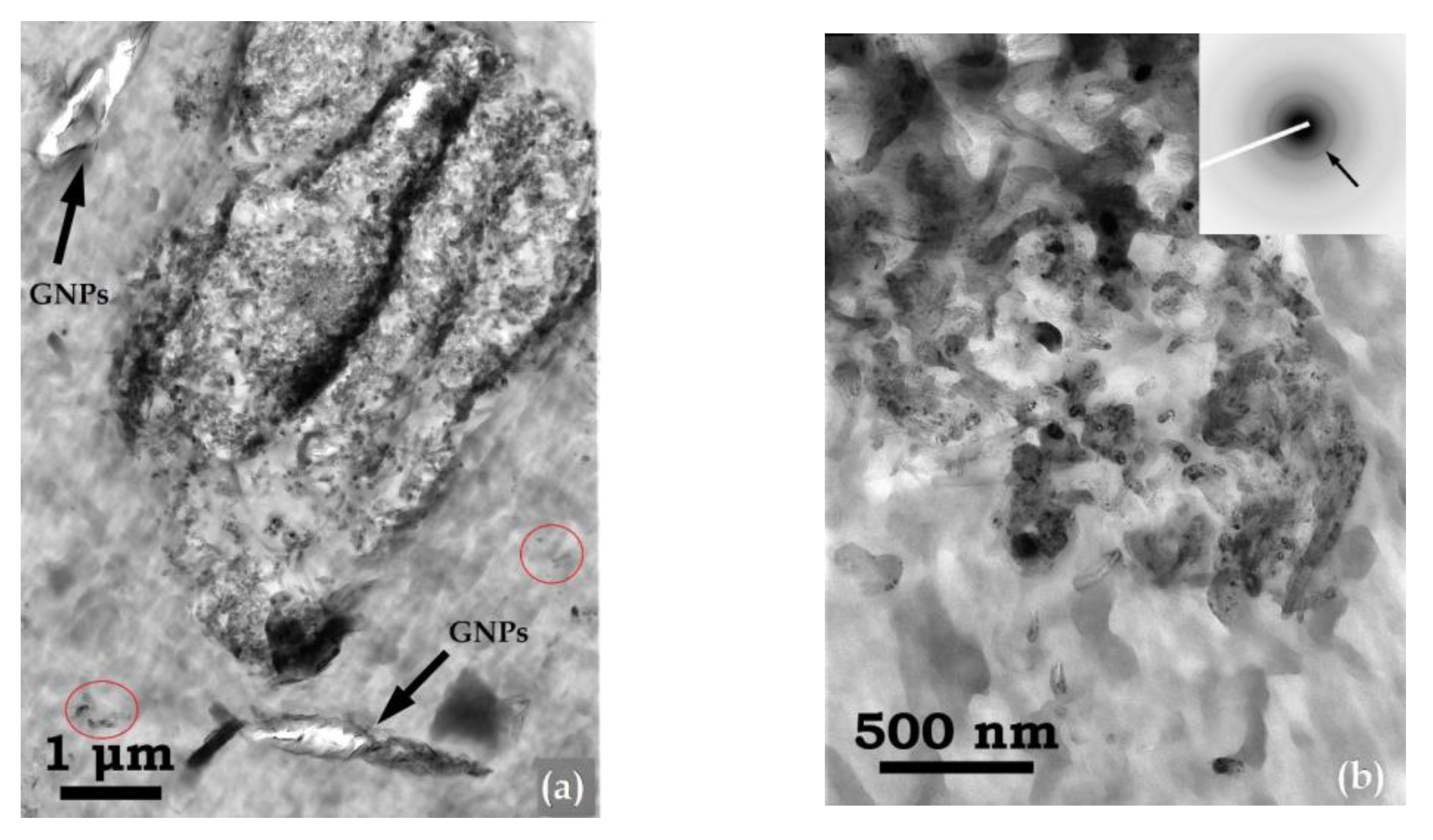 Polymers 15 00401 g005a