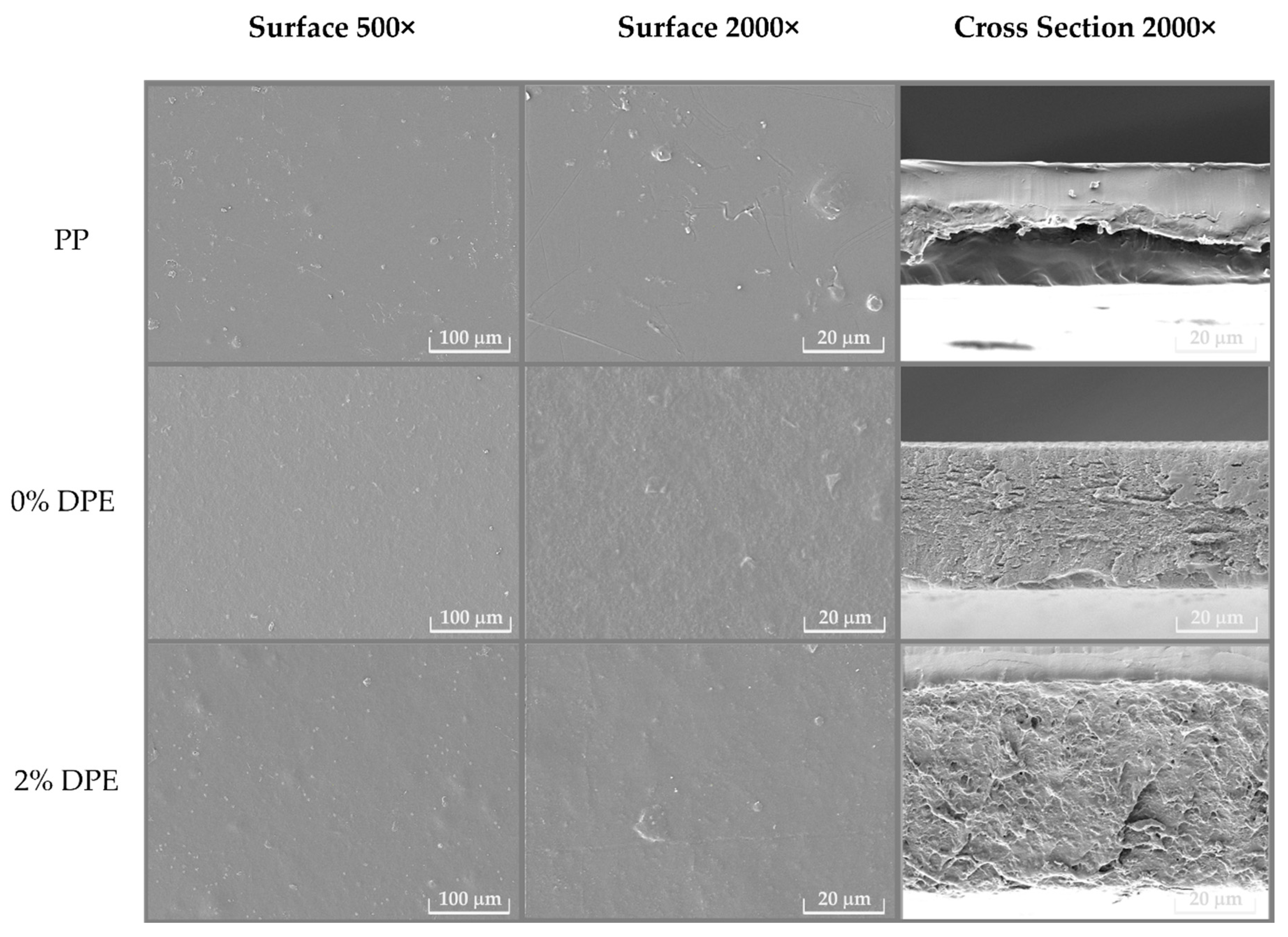 Polymers 15 00404 g001 Polymers 15 00404 g001