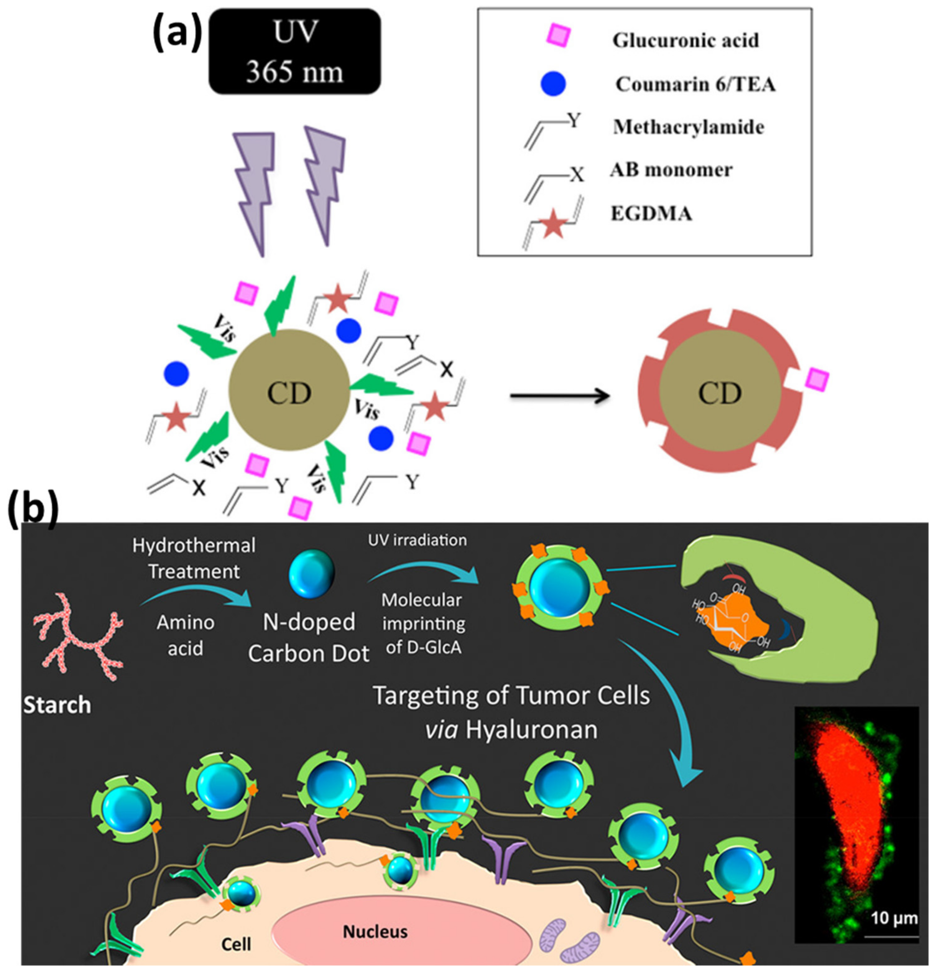 Polymers 15 00405 g005