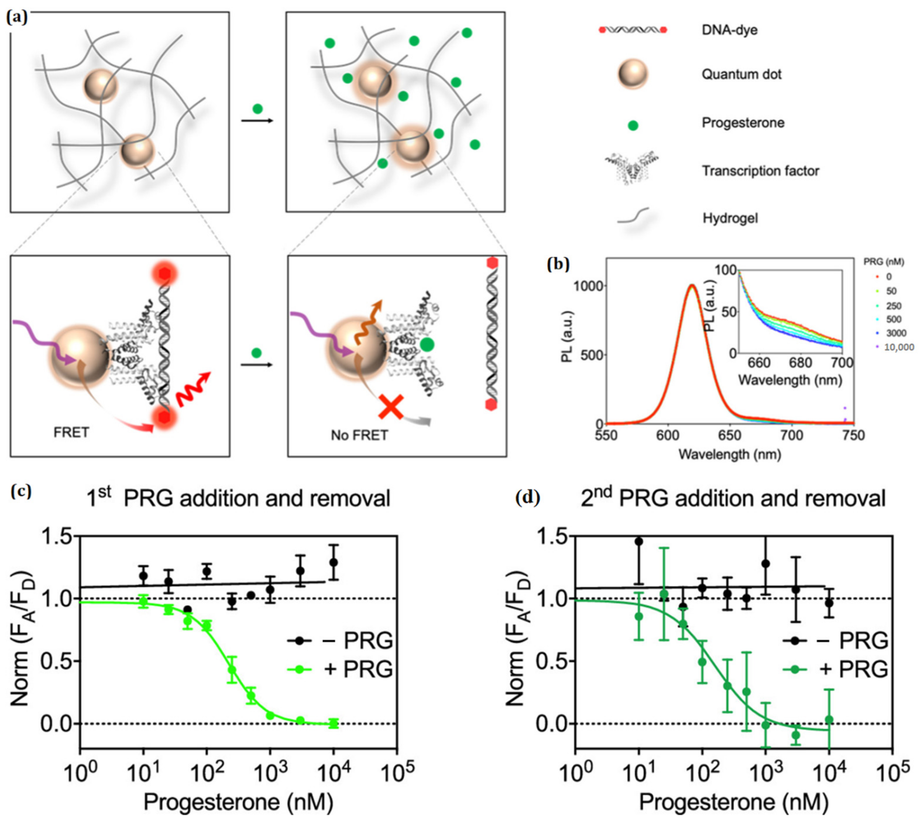 Polymers 15 00405 g009