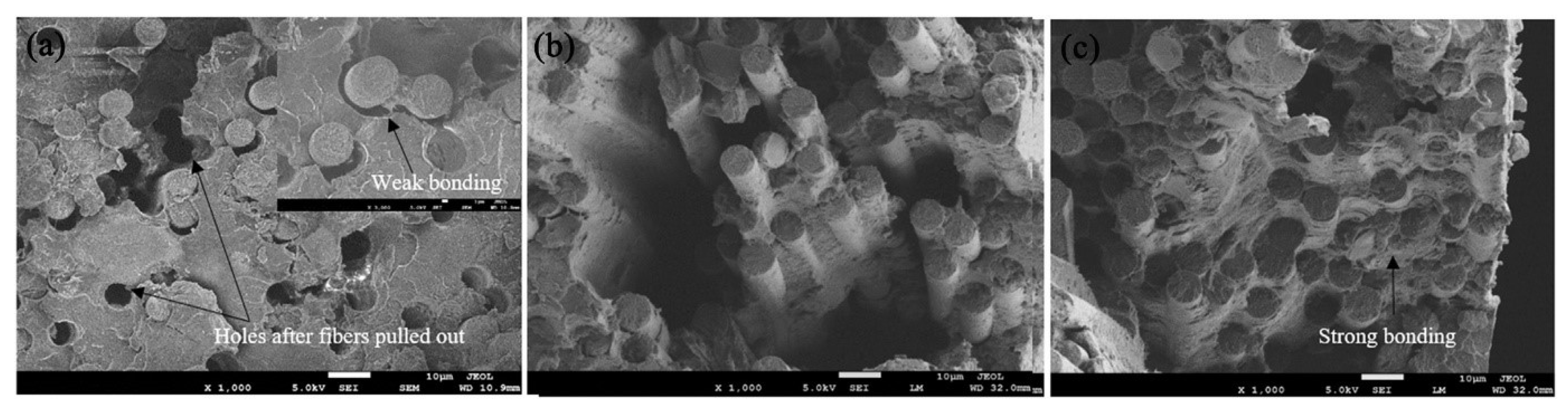 Polymers 15 00415 g006 Polymers 15 00415 g006