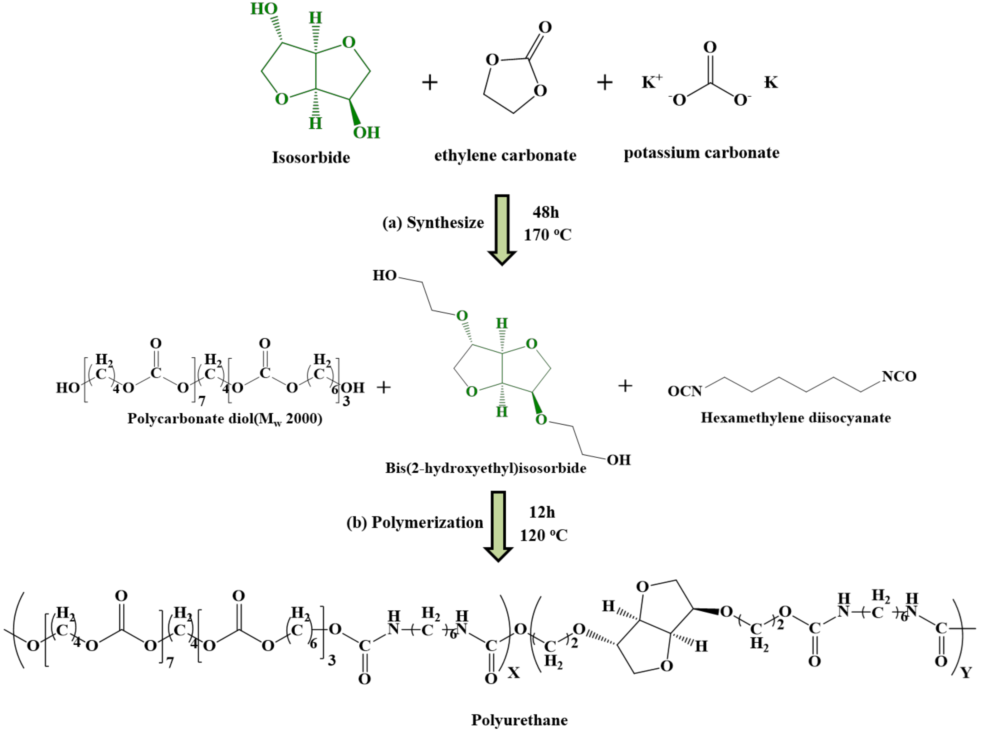 Polymers Free FullText Synthesizing Polyurethane Using Isosorbide