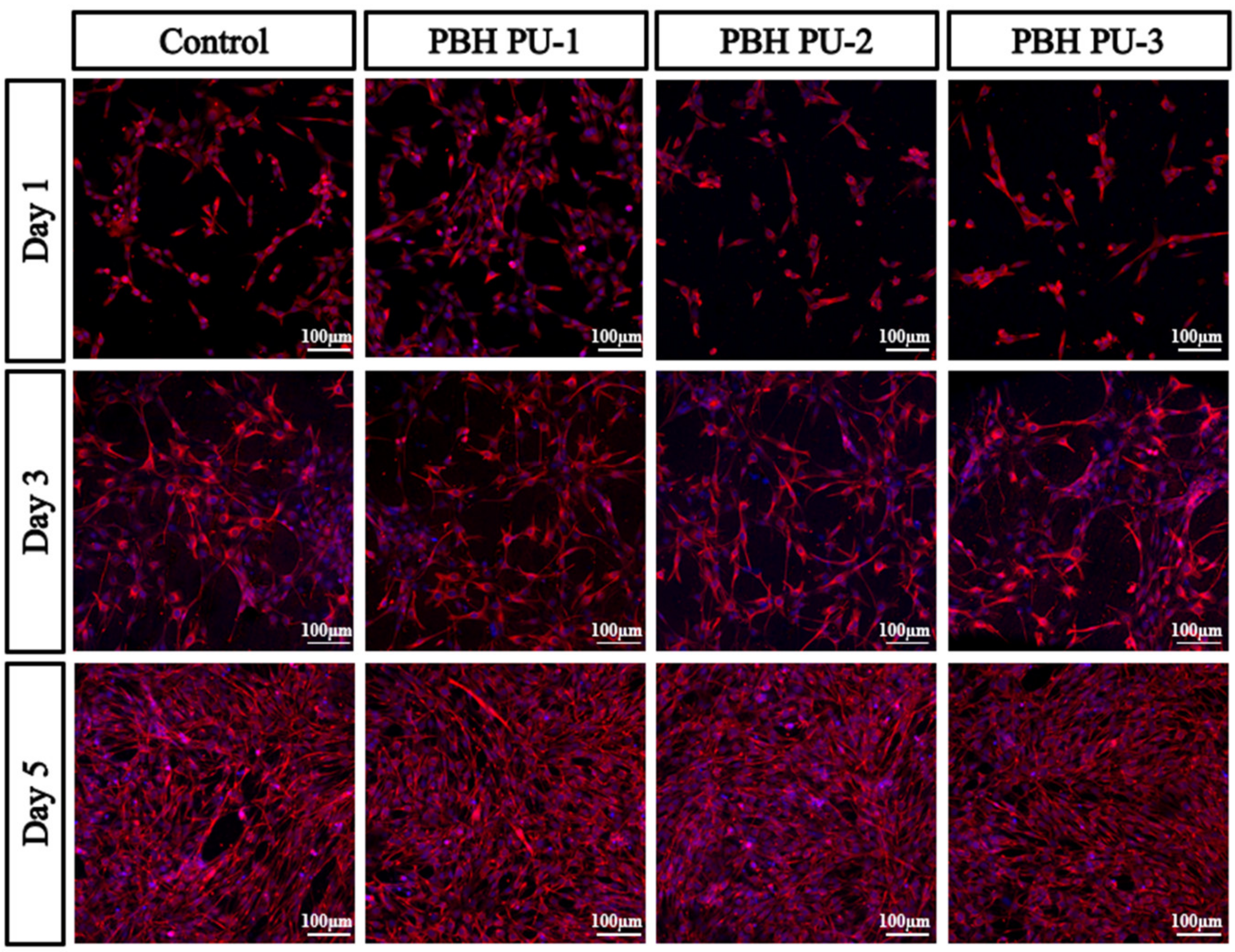 Polymers 15 00418 g011 Polymers 15 00418 g011