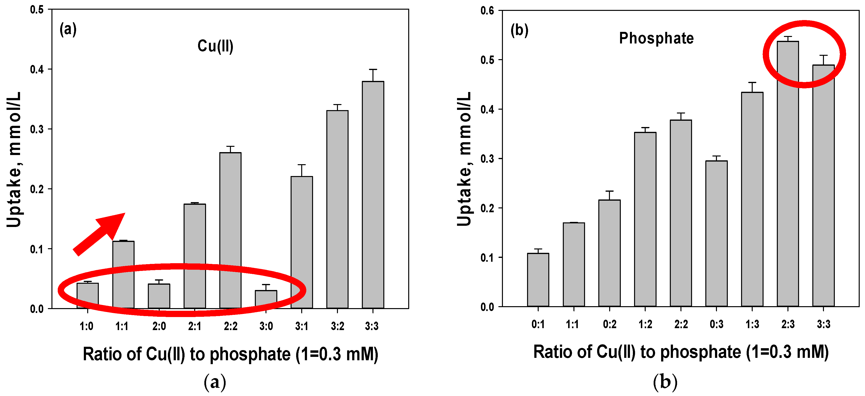 Polymers 15 00421 g002 Polymers 15 00421 g002