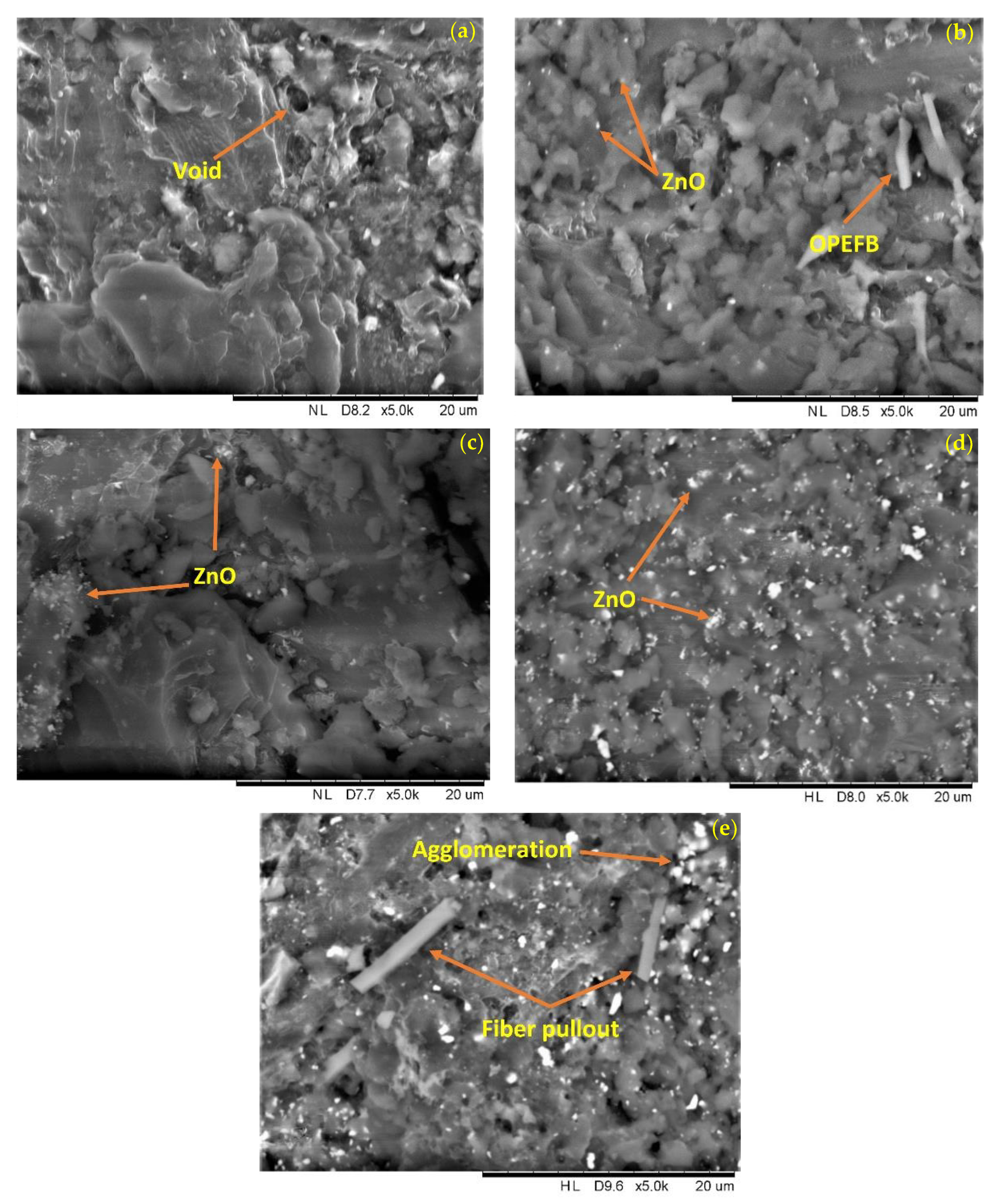 Polymers 15 00422 g006 Polymers 15 00422 g006