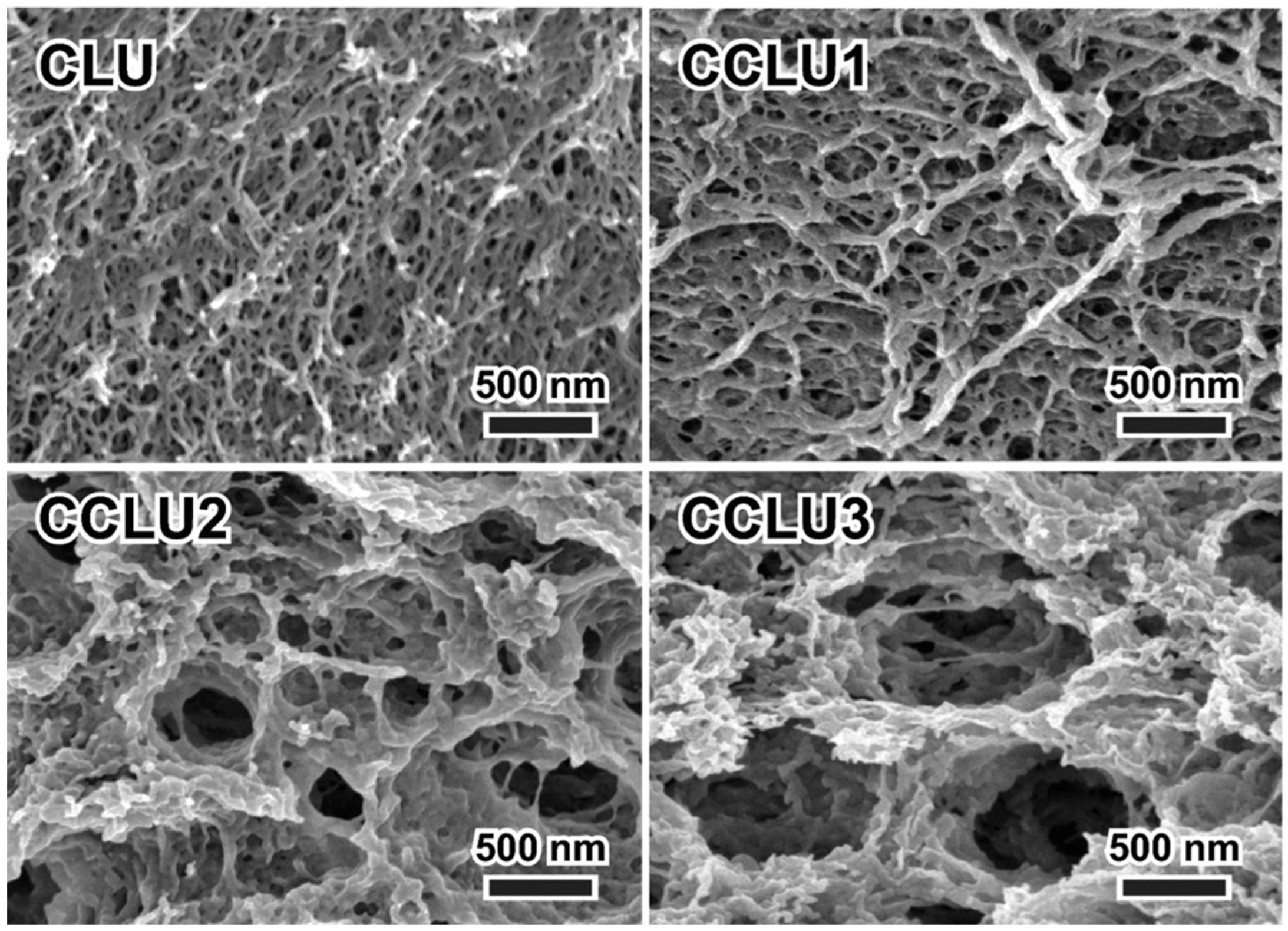 Polymers 15 00425 g009 Polymers 15 00425 g009