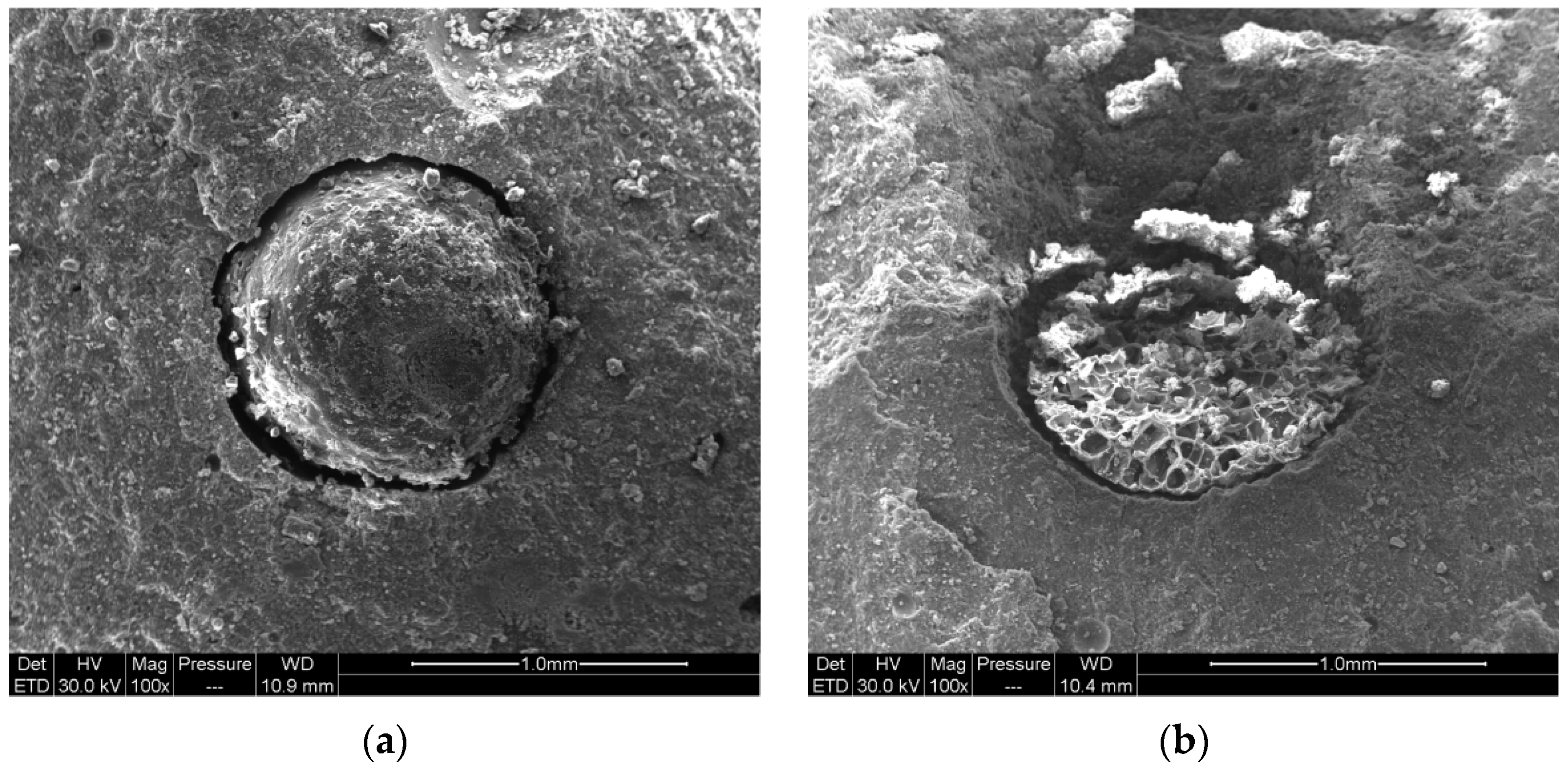 Polymers 15 00428 g002