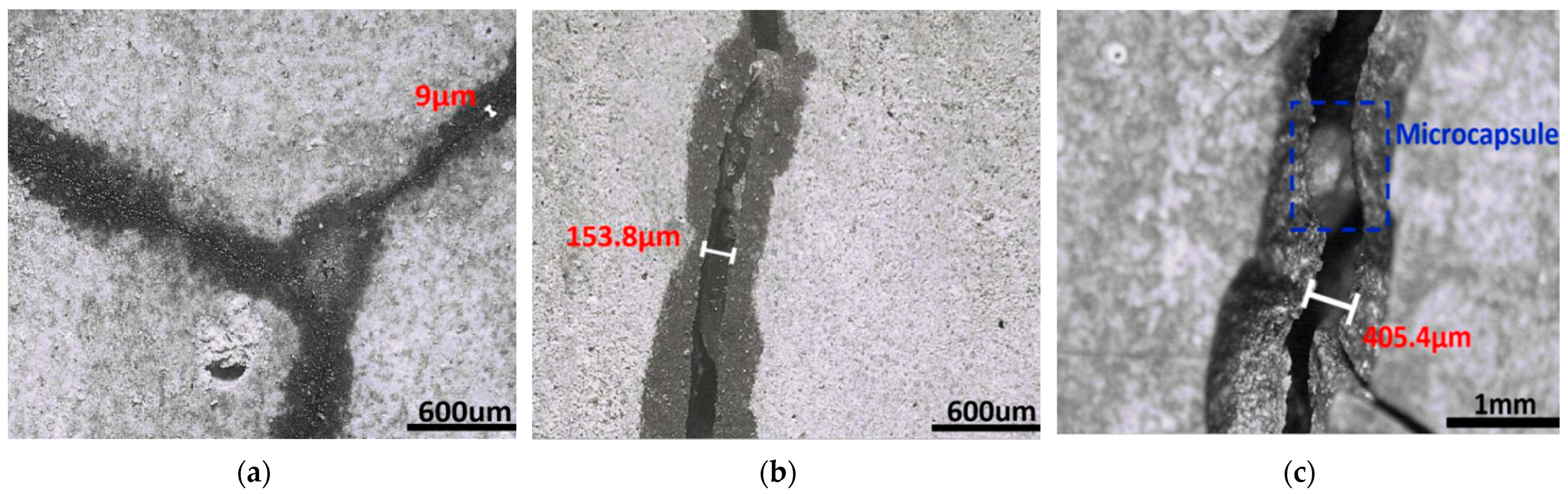 Polymers 15 00428 g004