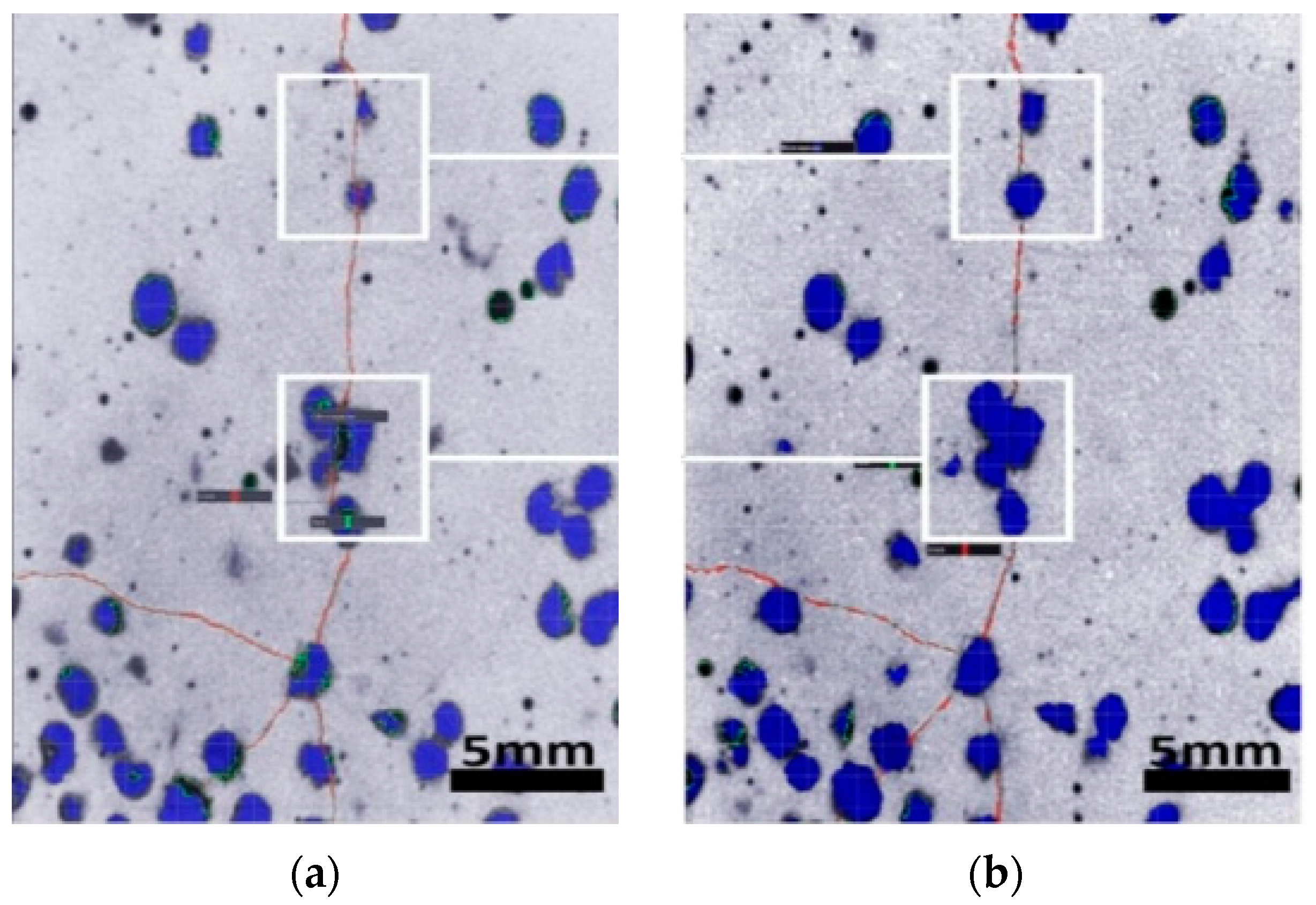 Polymers 15 00428 g006