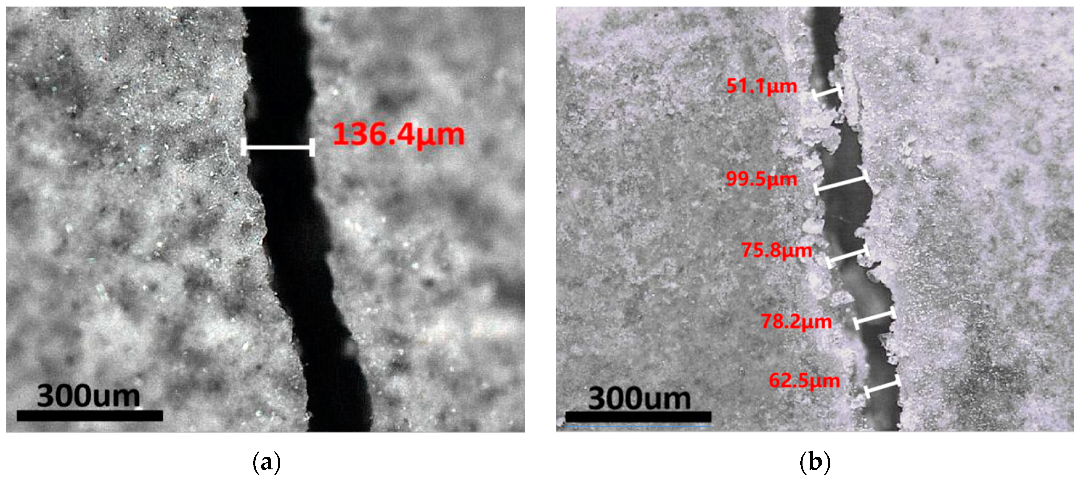 Polymers 15 00428 g008