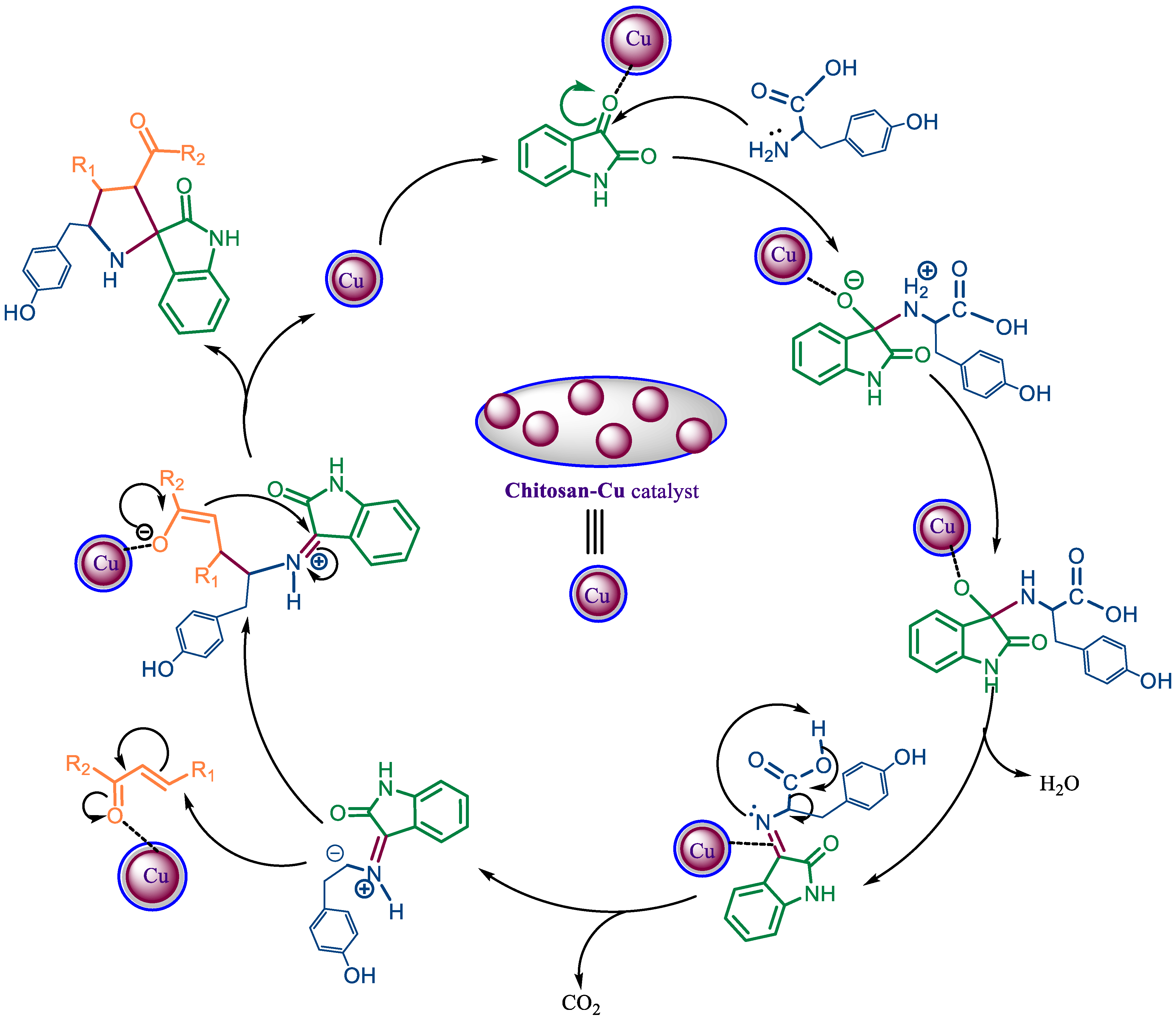 Polymers 15 00429 sch002 Polymers 15 00429 sch002