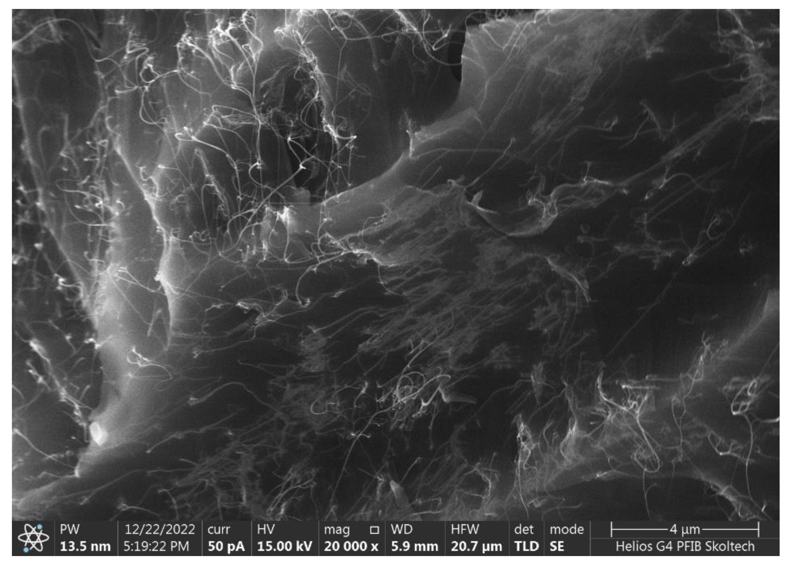 Polymers 15 00433 g001 Polymers 15 00433 g001