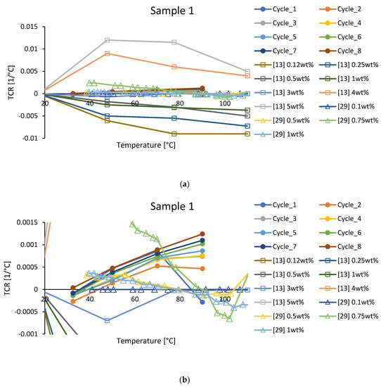 sss Spiegler SS Rennsport Front Brake Lines Kit '13- Kawaski