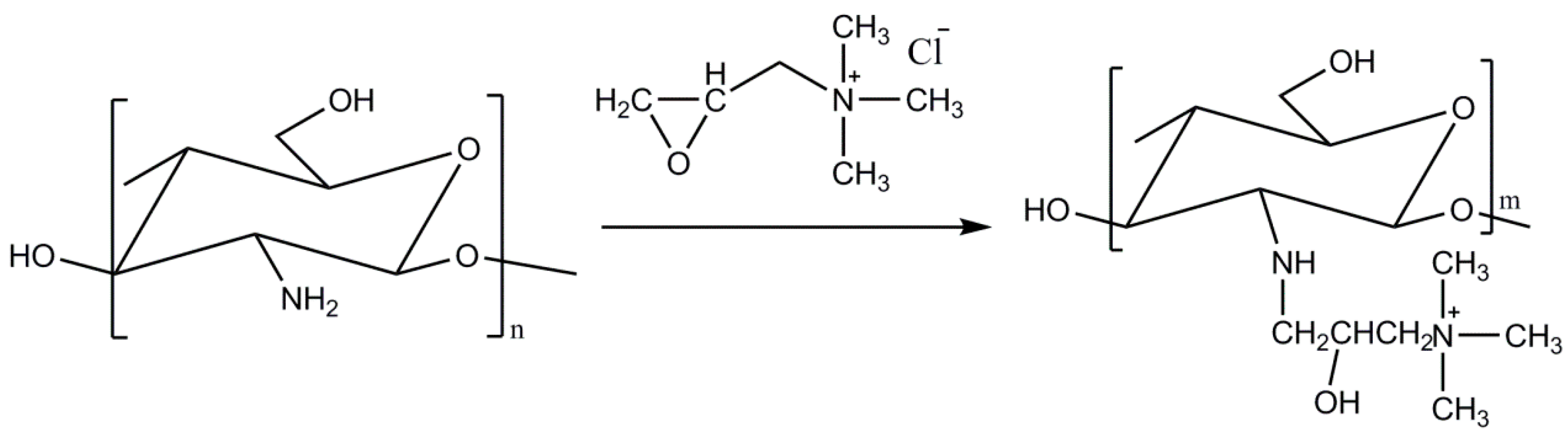 Polymers 15 00434 g001
