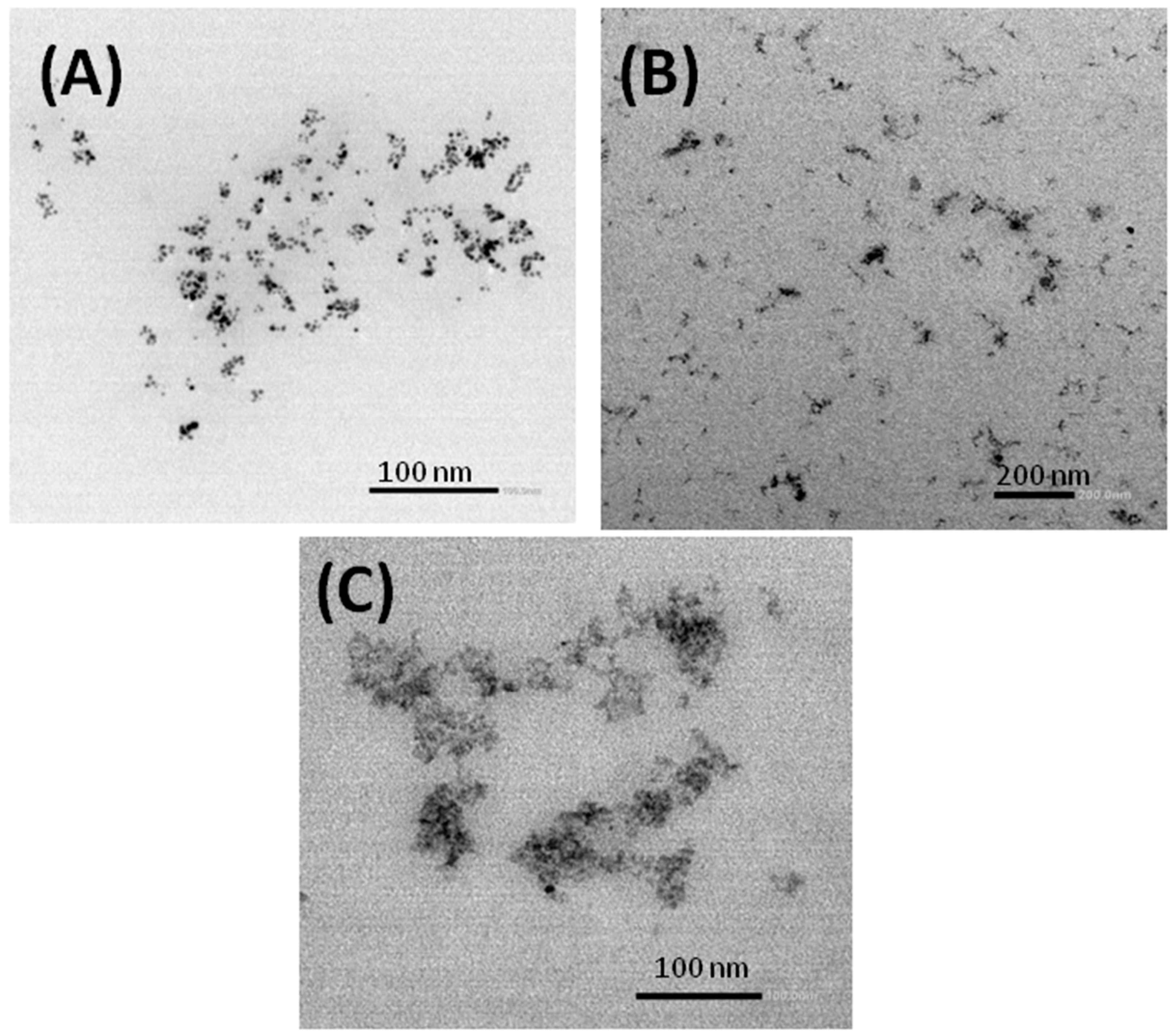 Polymers 15 00434 g007