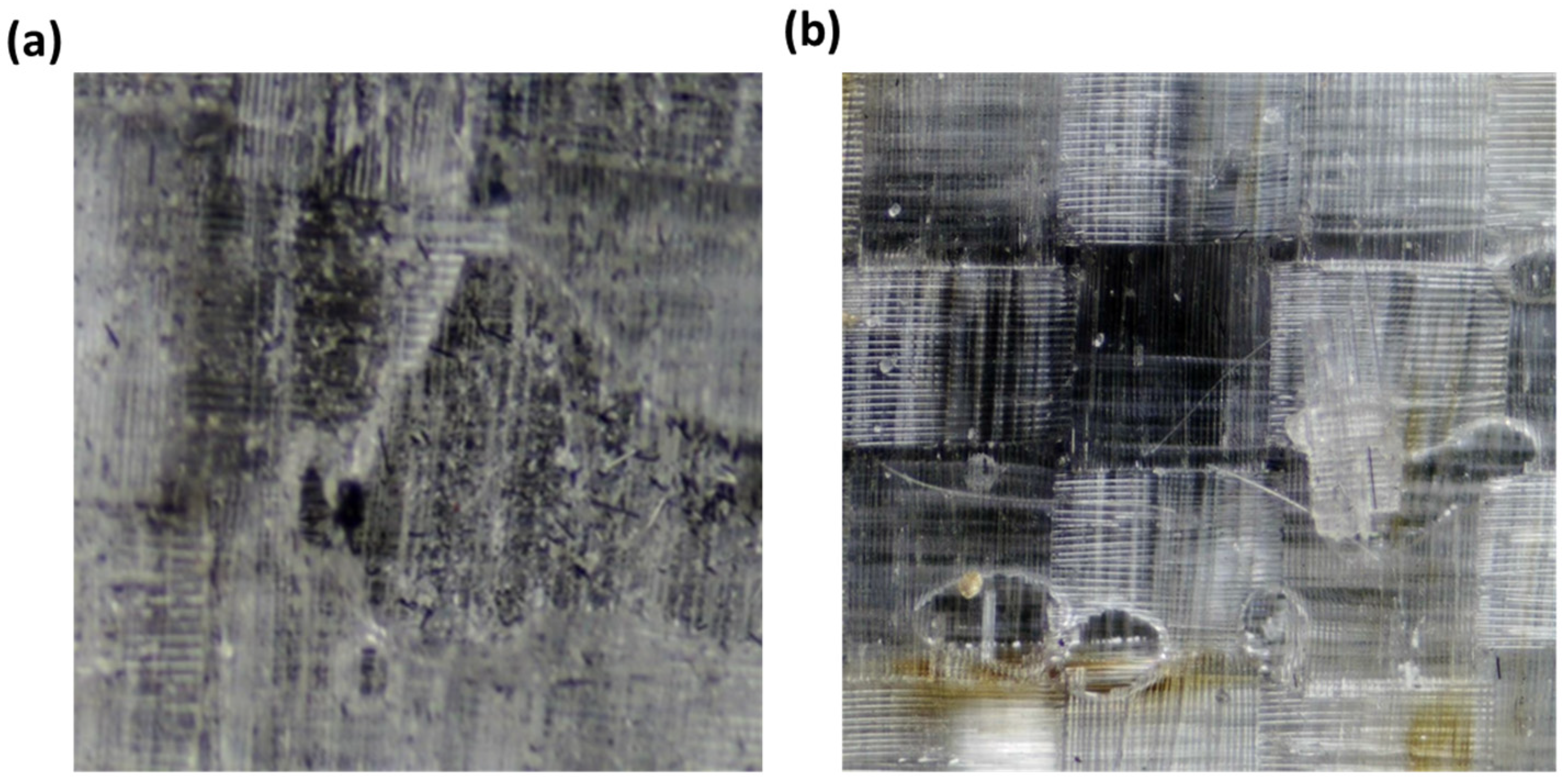 Polymers 15 00435 g007