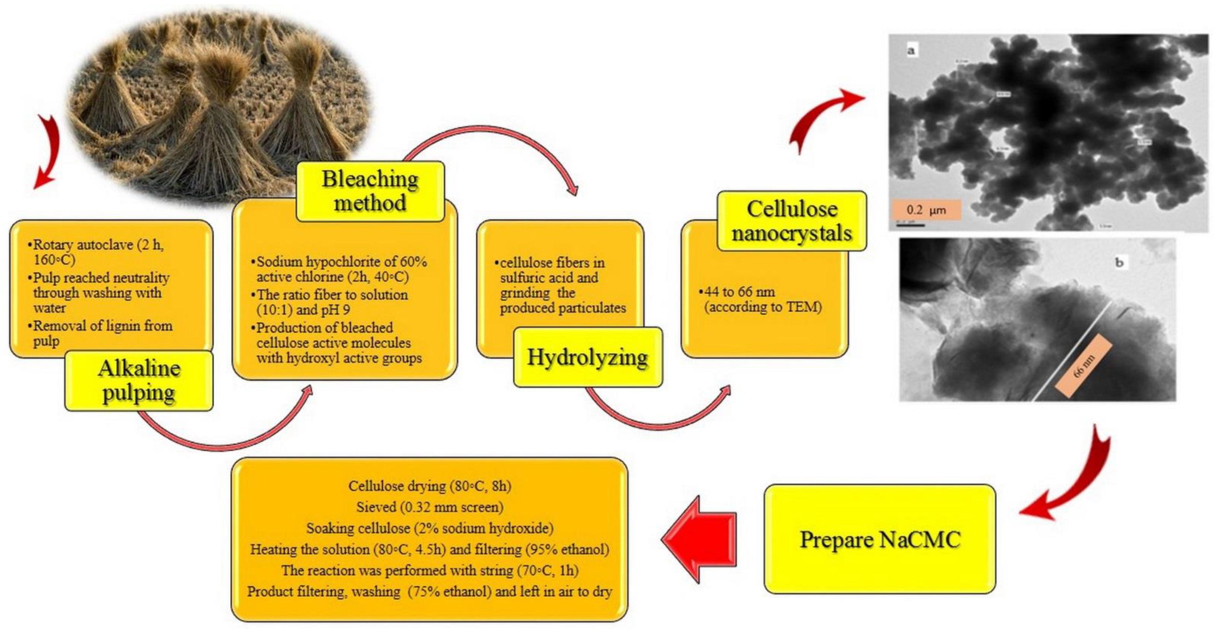 Polymers 15 00440 g004