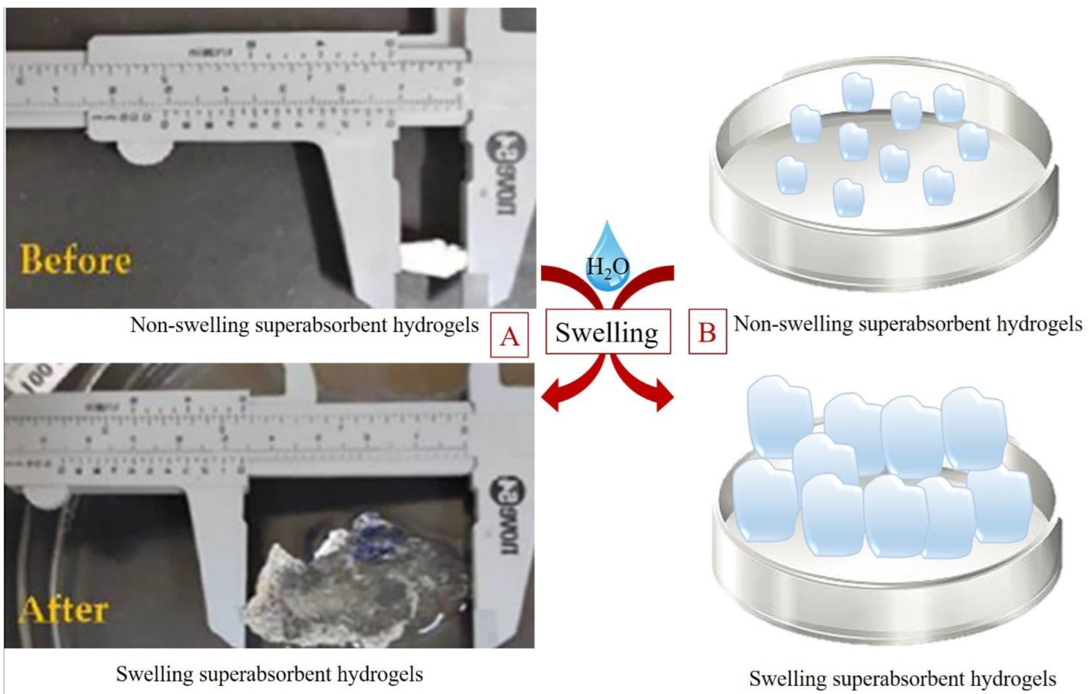 Polymers 15 00440 g006