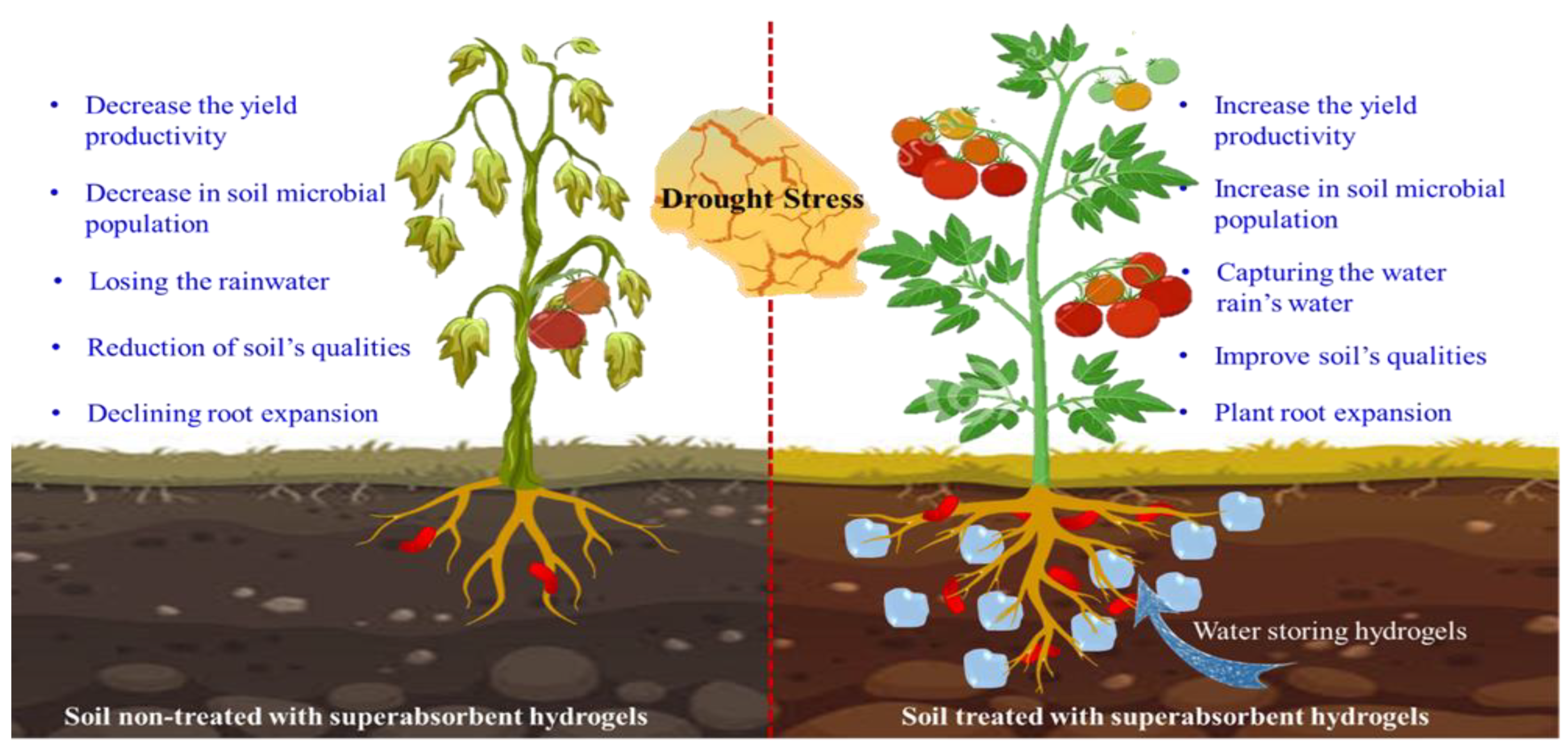 Polymers 15 00440 g007