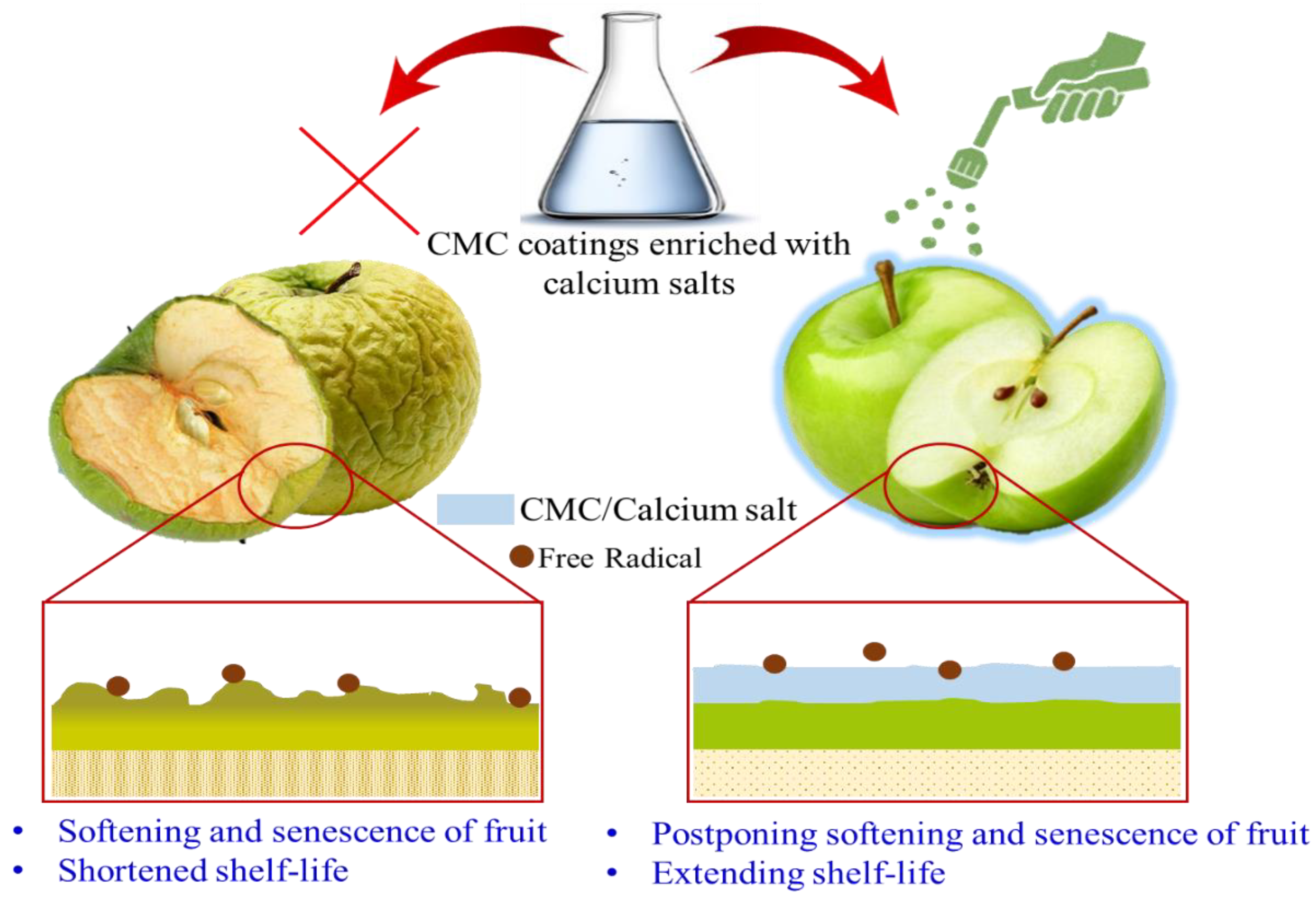 Polymers 15 00440 g009