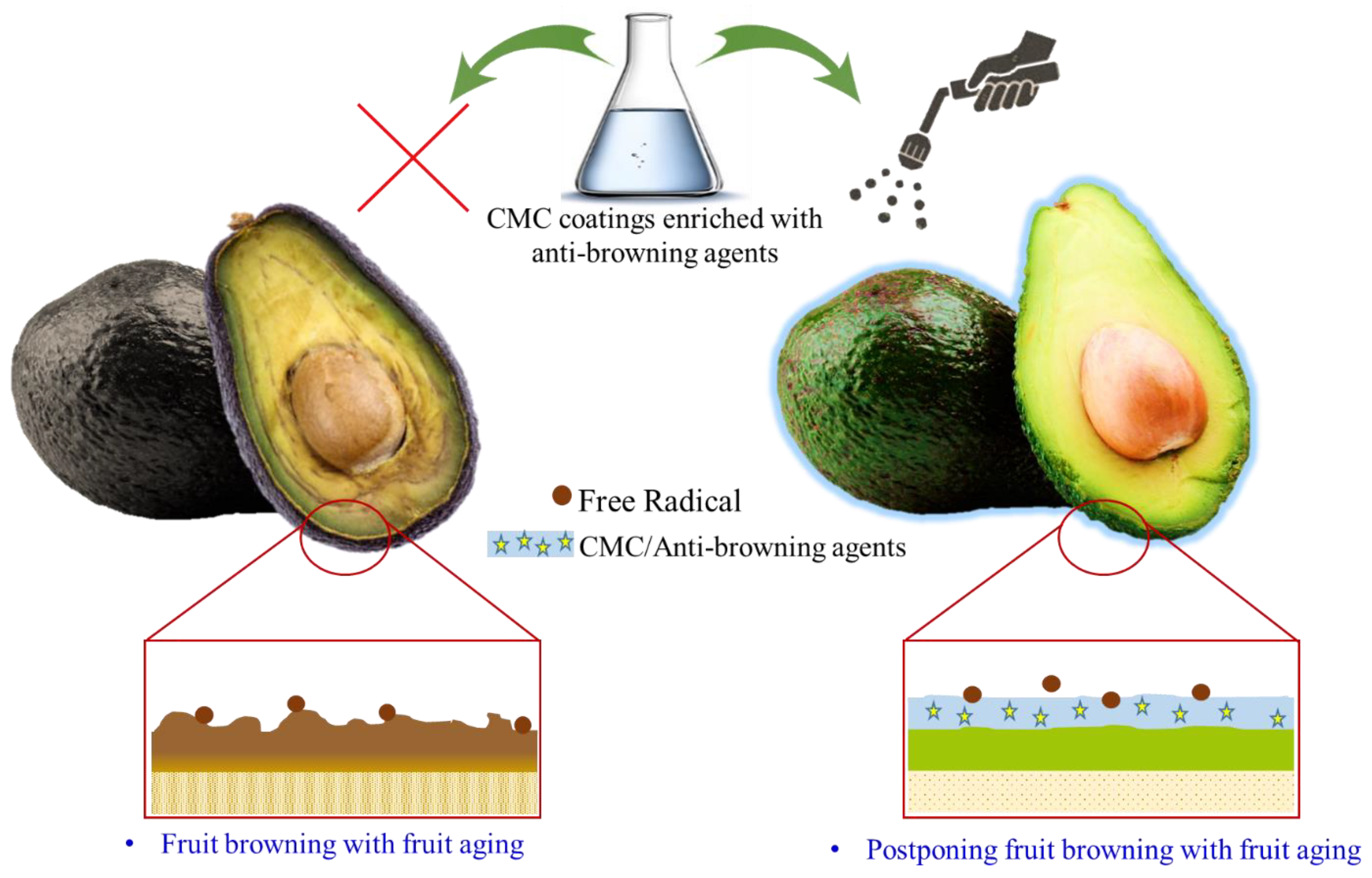 Polymers 15 00440 g011