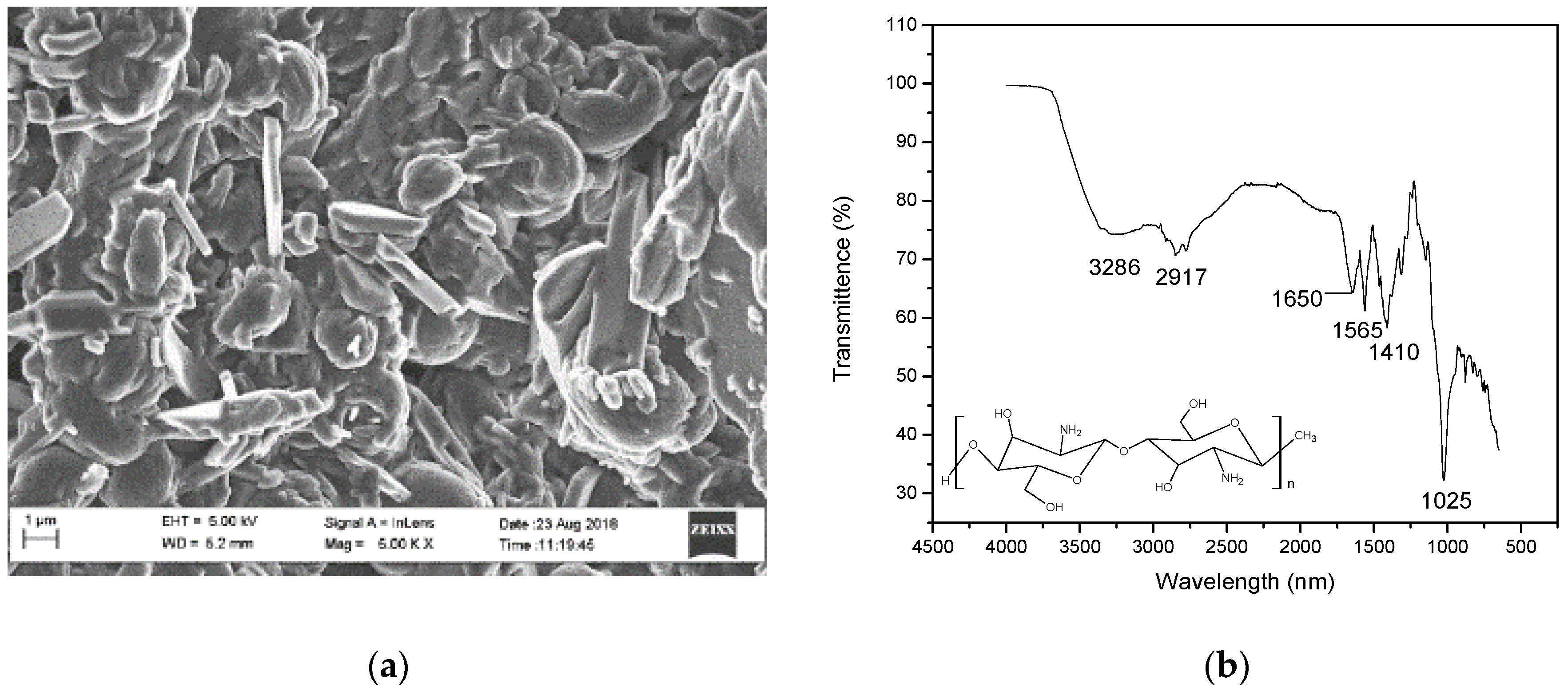 Polymers 15 00442 g004 Polymers 15 00442 g004