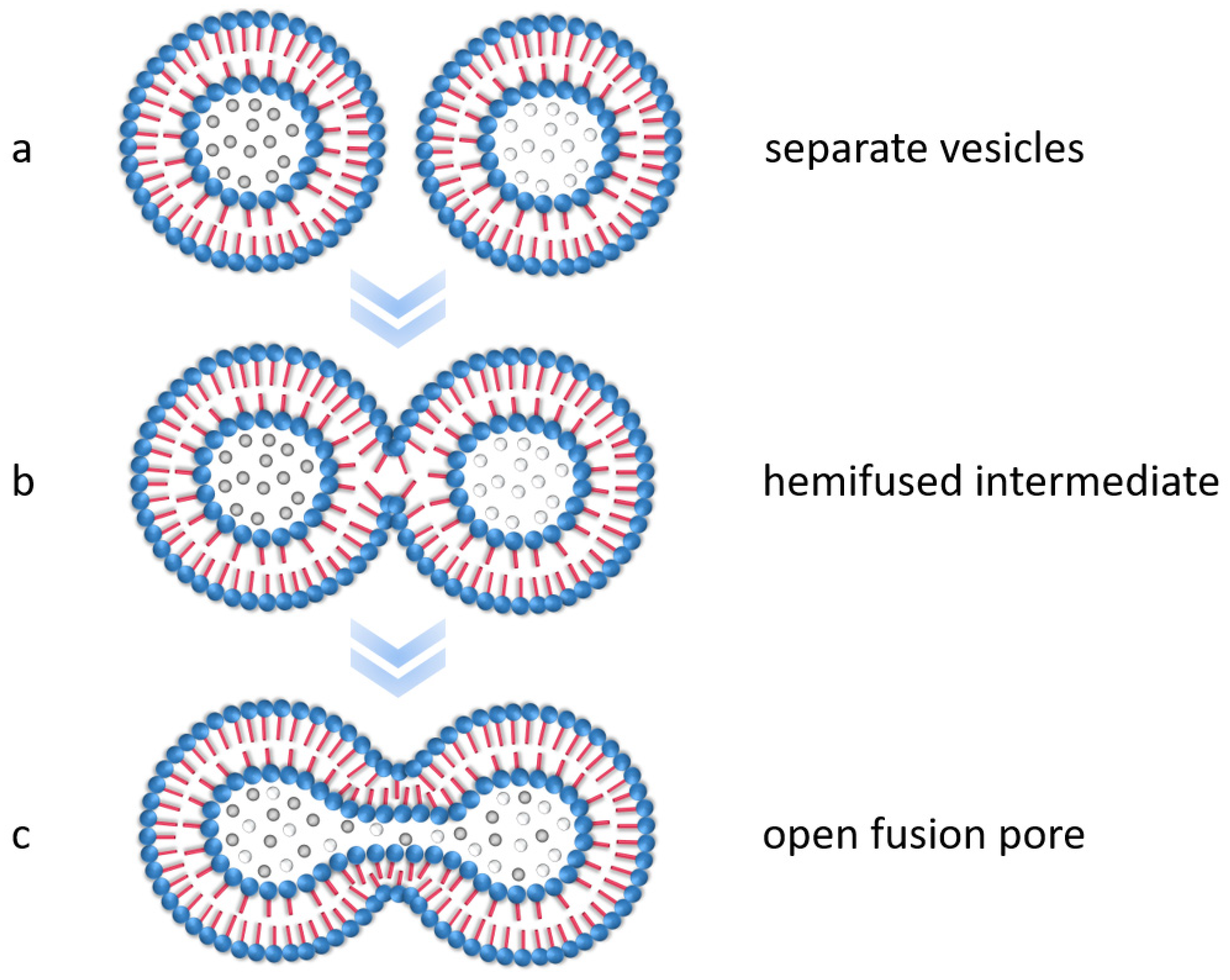 Polymers 15 00444 g001 Polymers 15 00444 g001
