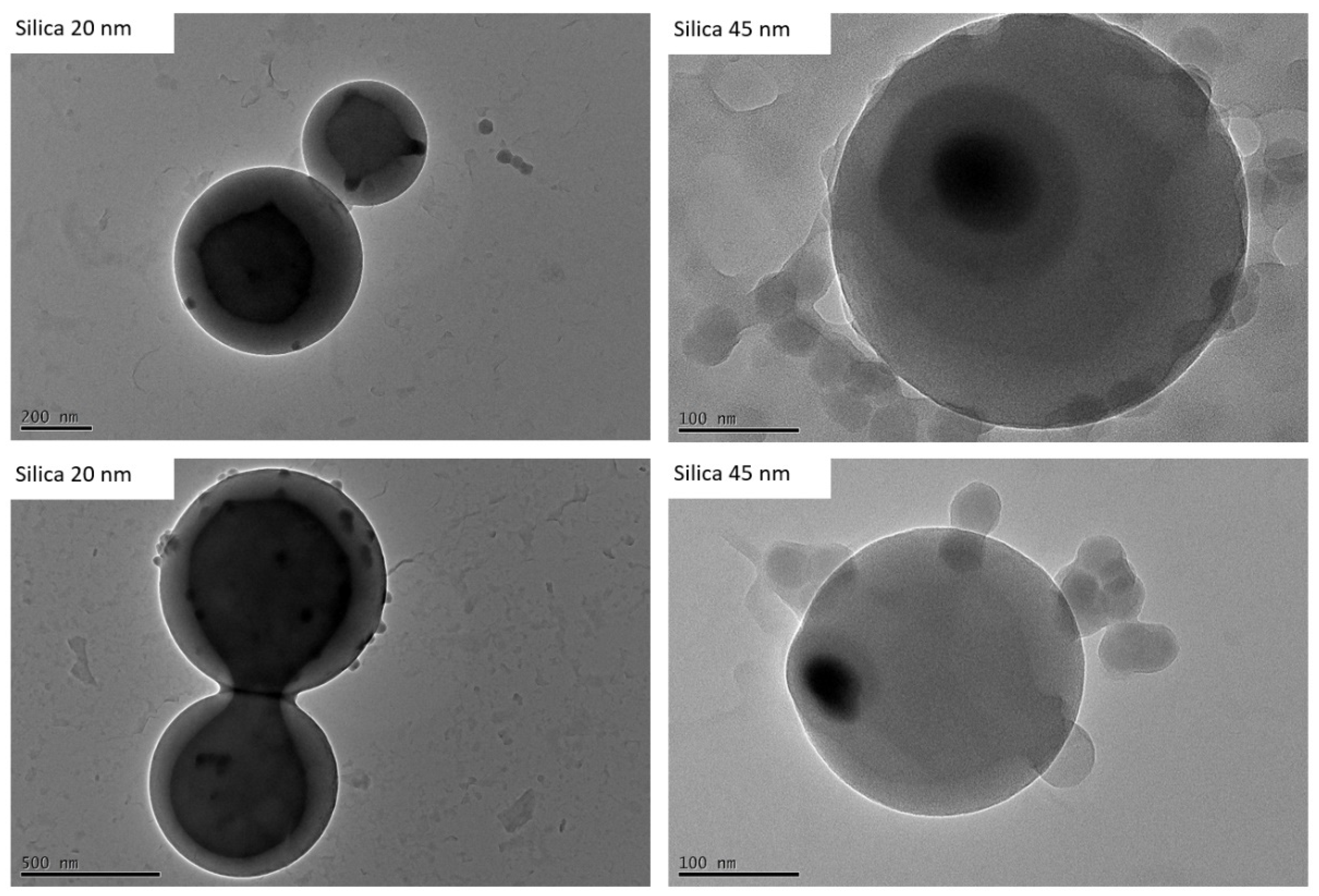 Polymers 15 00444 g011 Polymers 15 00444 g011