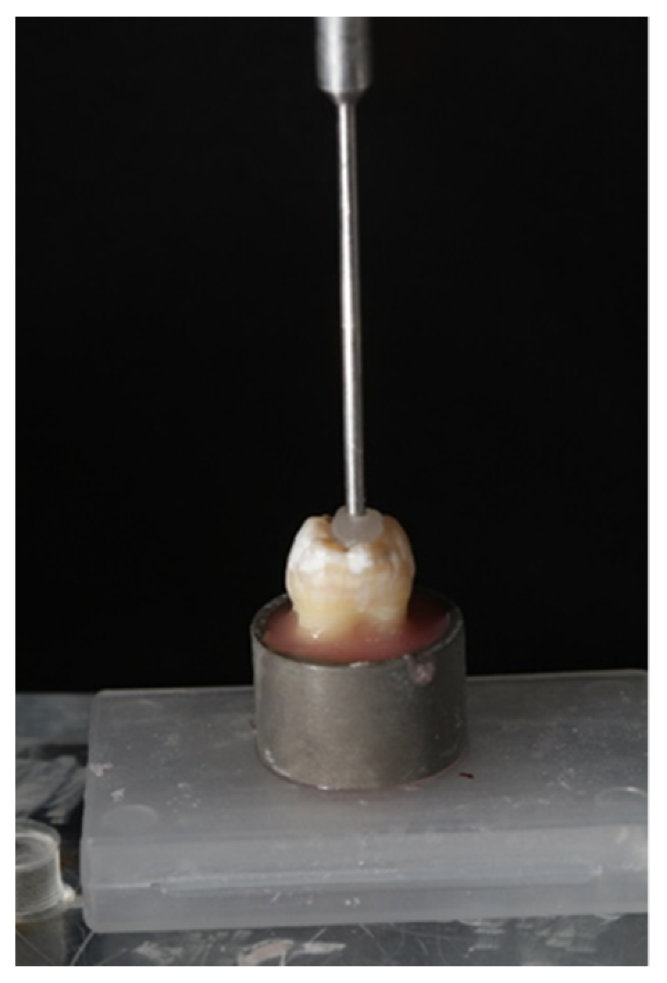 Polymers 15 00446 g001 Polymers 15 00446 g001