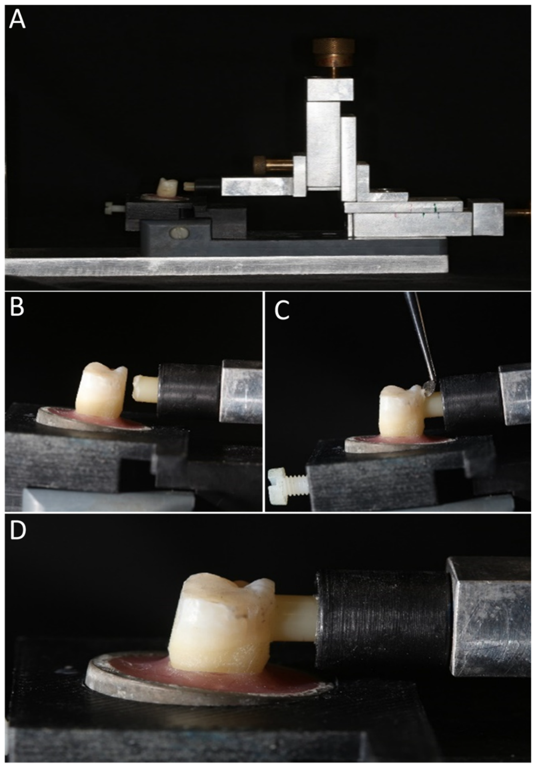 Polymers 15 00446 g002 Polymers 15 00446 g002