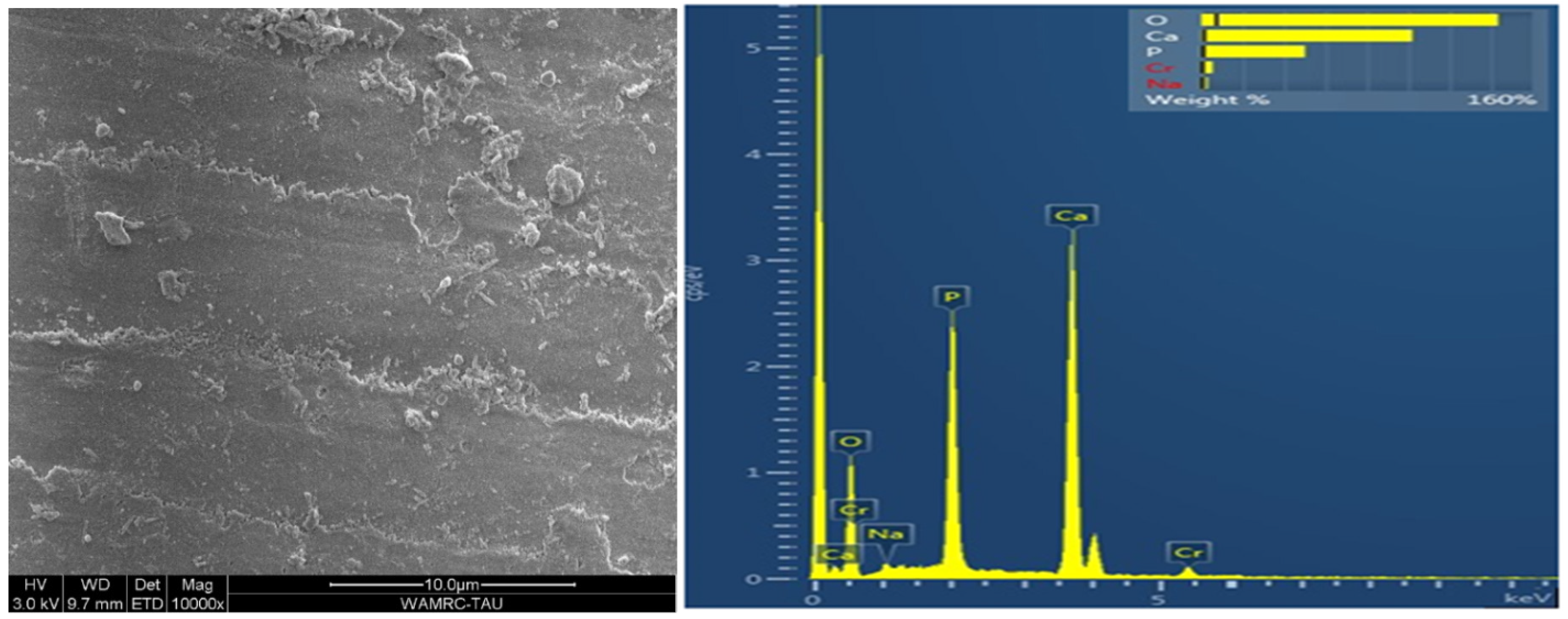 Polymers 15 00446 g007 Polymers 15 00446 g007