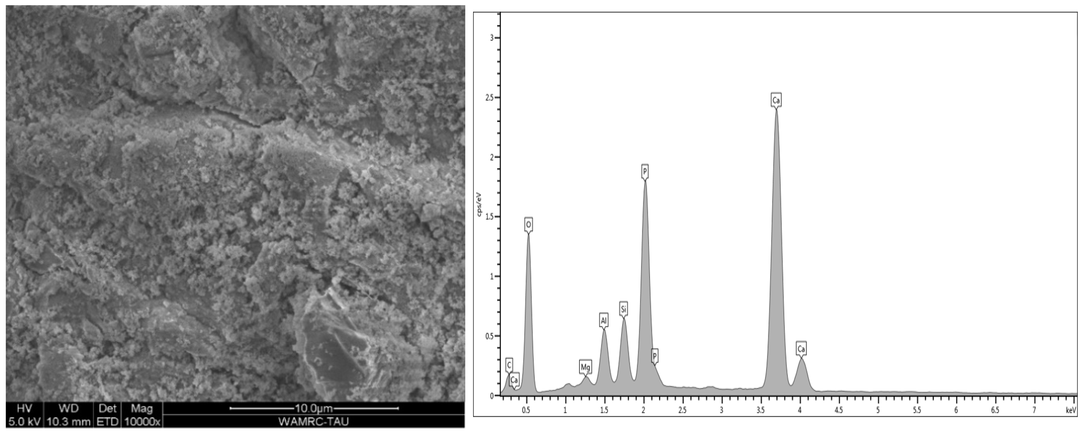 Polymers 15 00446 g008 Polymers 15 00446 g008