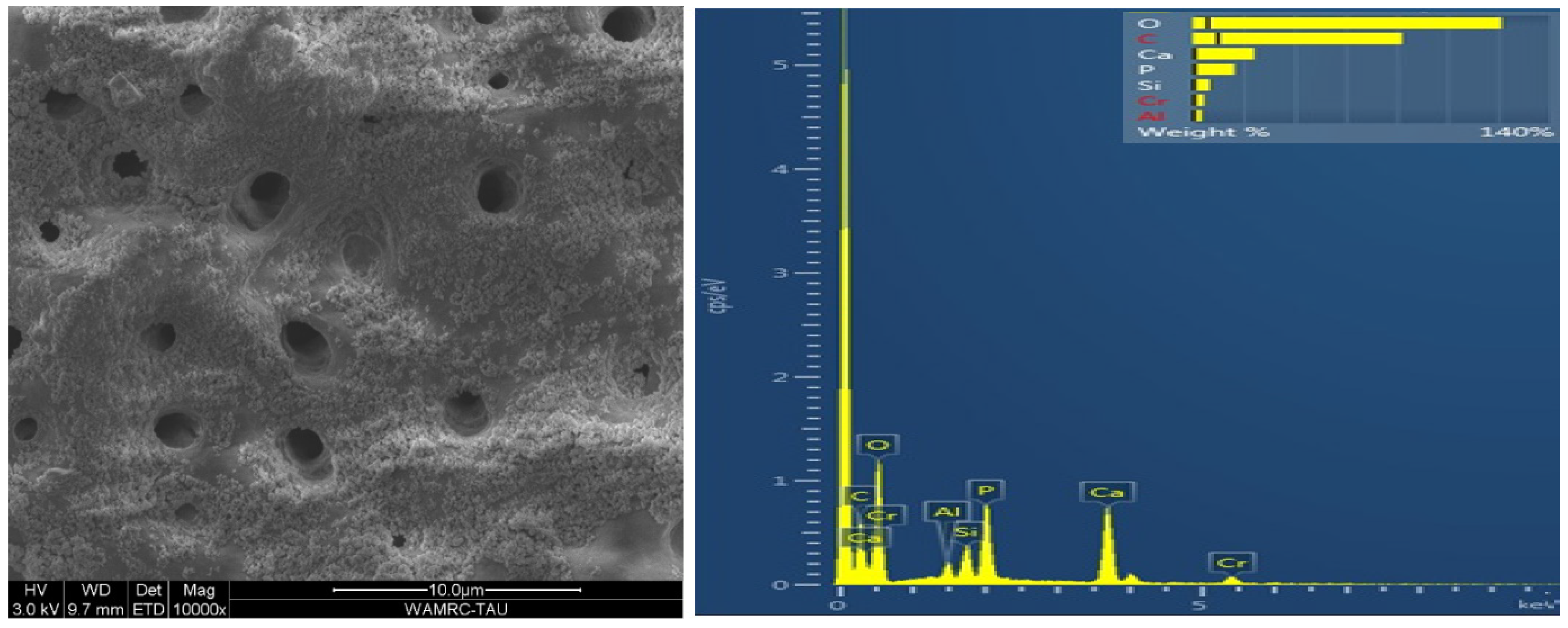 Polymers 15 00446 g009 Polymers 15 00446 g009