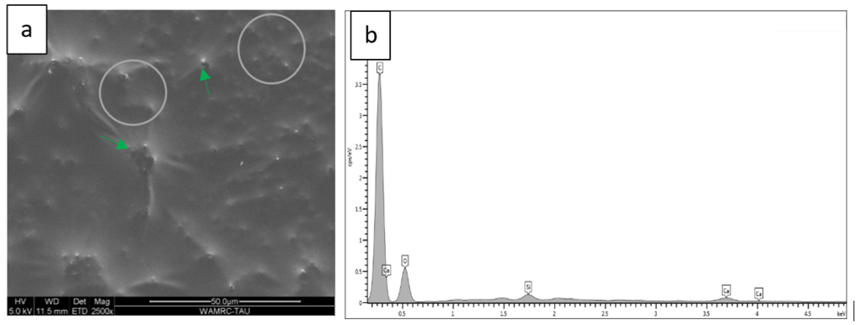 Polymers 15 00446 g010 Polymers 15 00446 g010