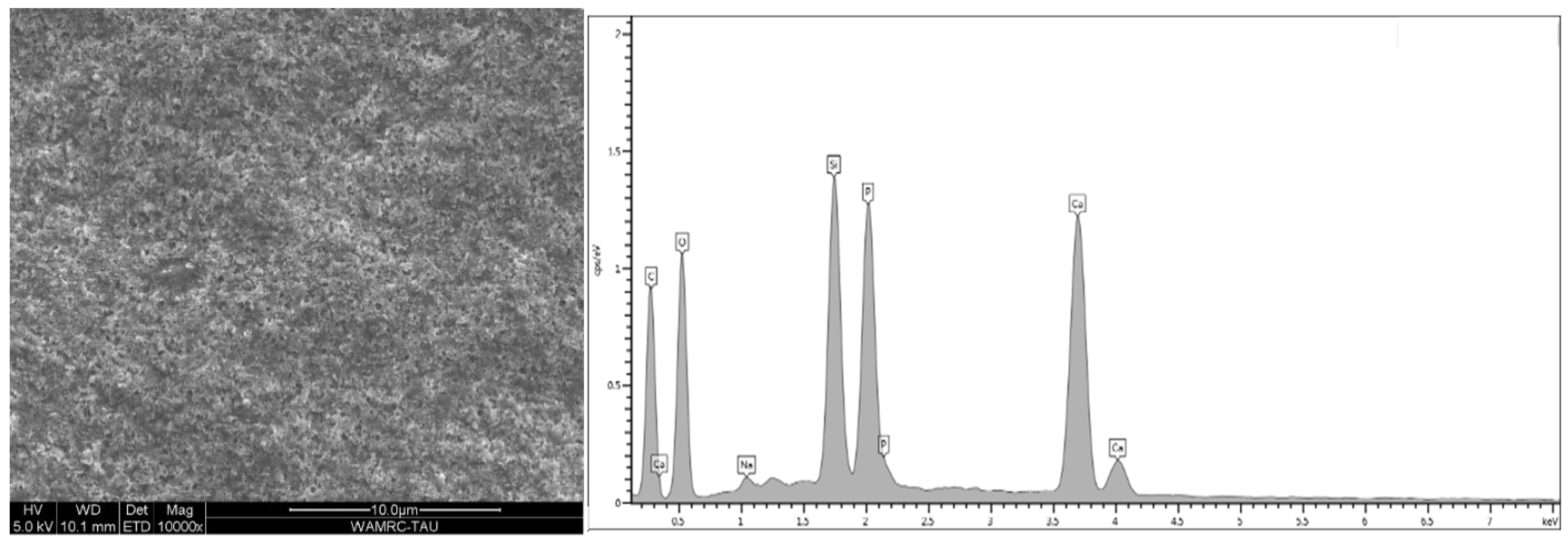 Polymers Free FullText Effect of SilicaModified Aluminum Oxide
