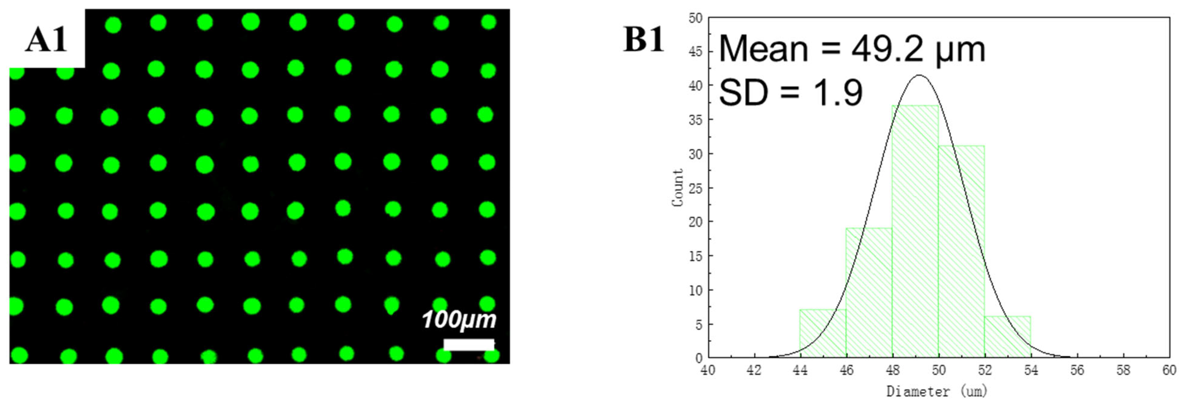 Polymers 15 00462 g008