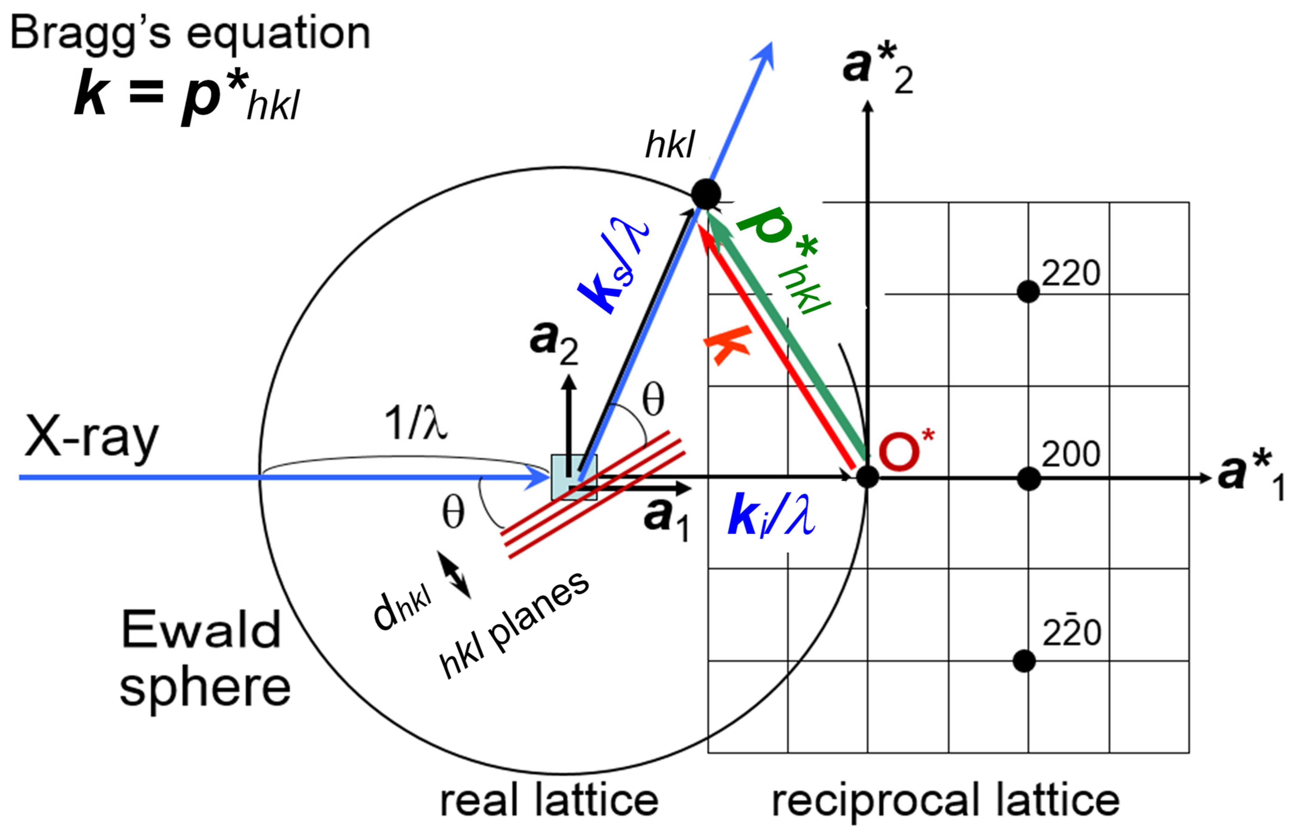 Polymers 15 00465 g001 Polymers 15 00465 g001