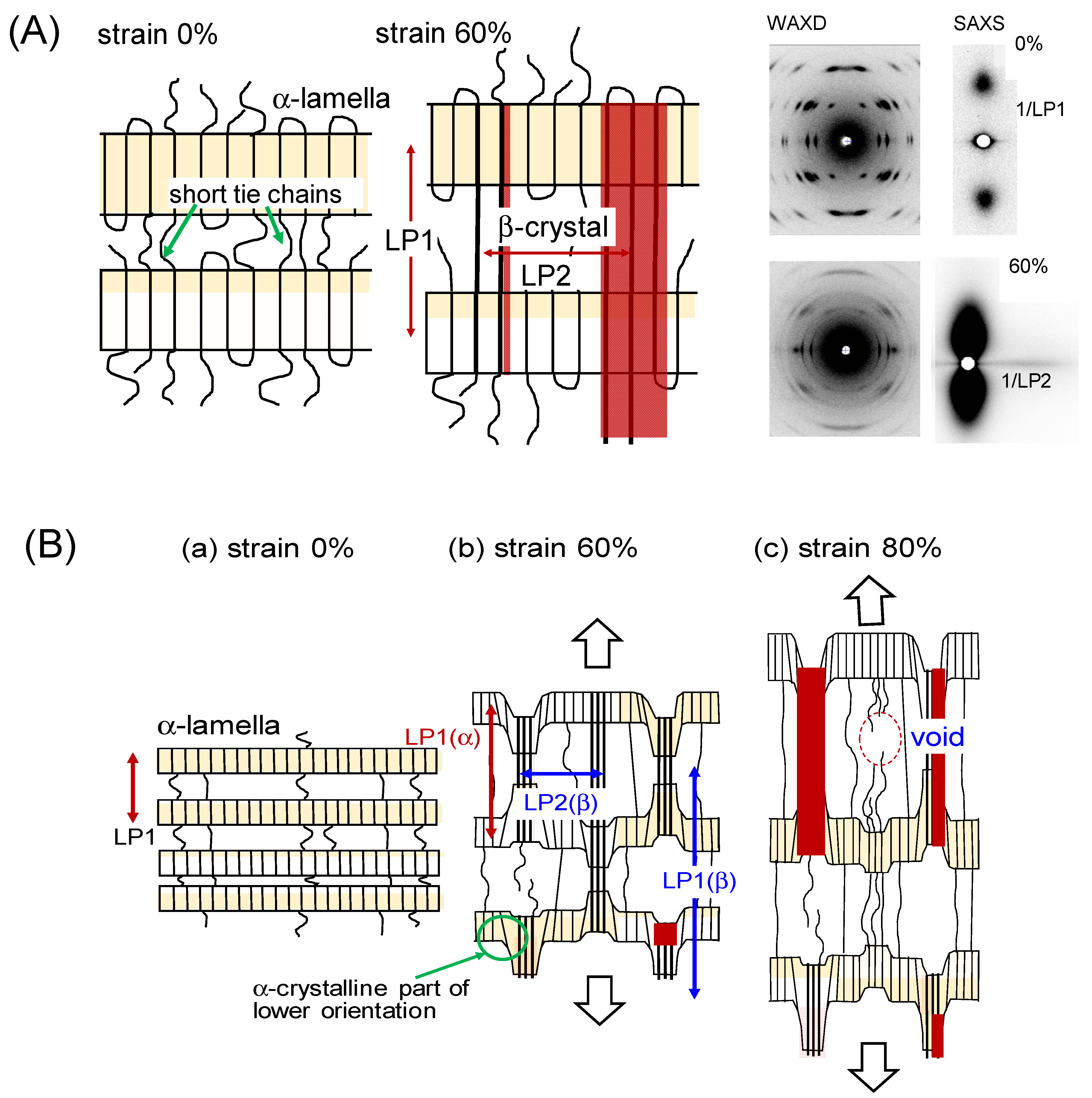 Polymers 15 00465 g008 Polymers 15 00465 g008