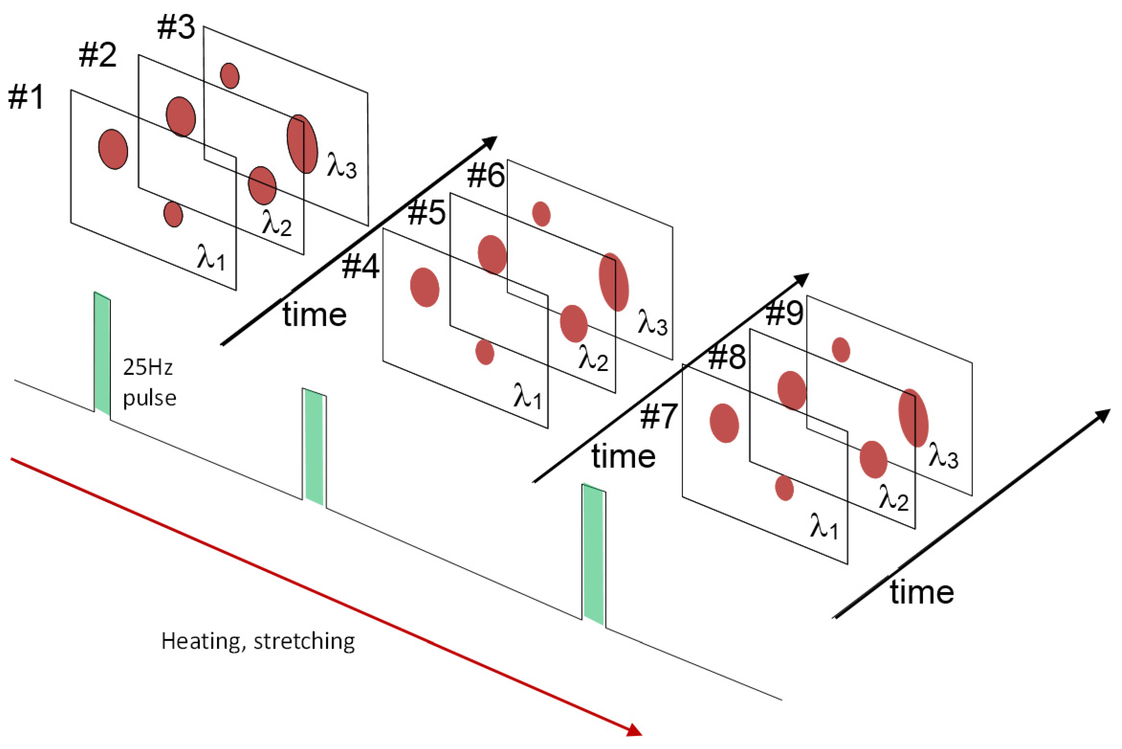 Polymers 15 00465 g034 Polymers 15 00465 g034