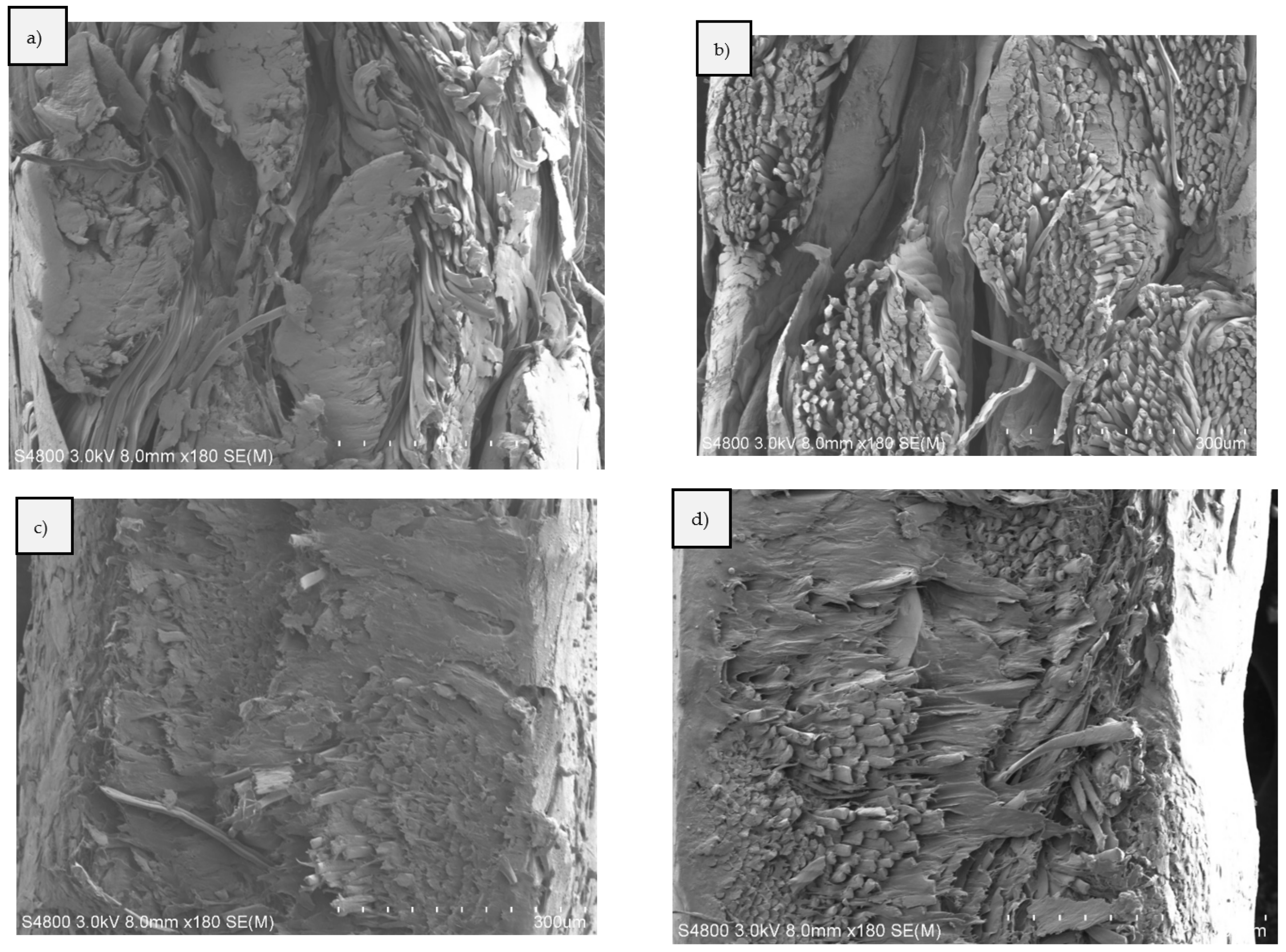 Polymers 15 00475 g012