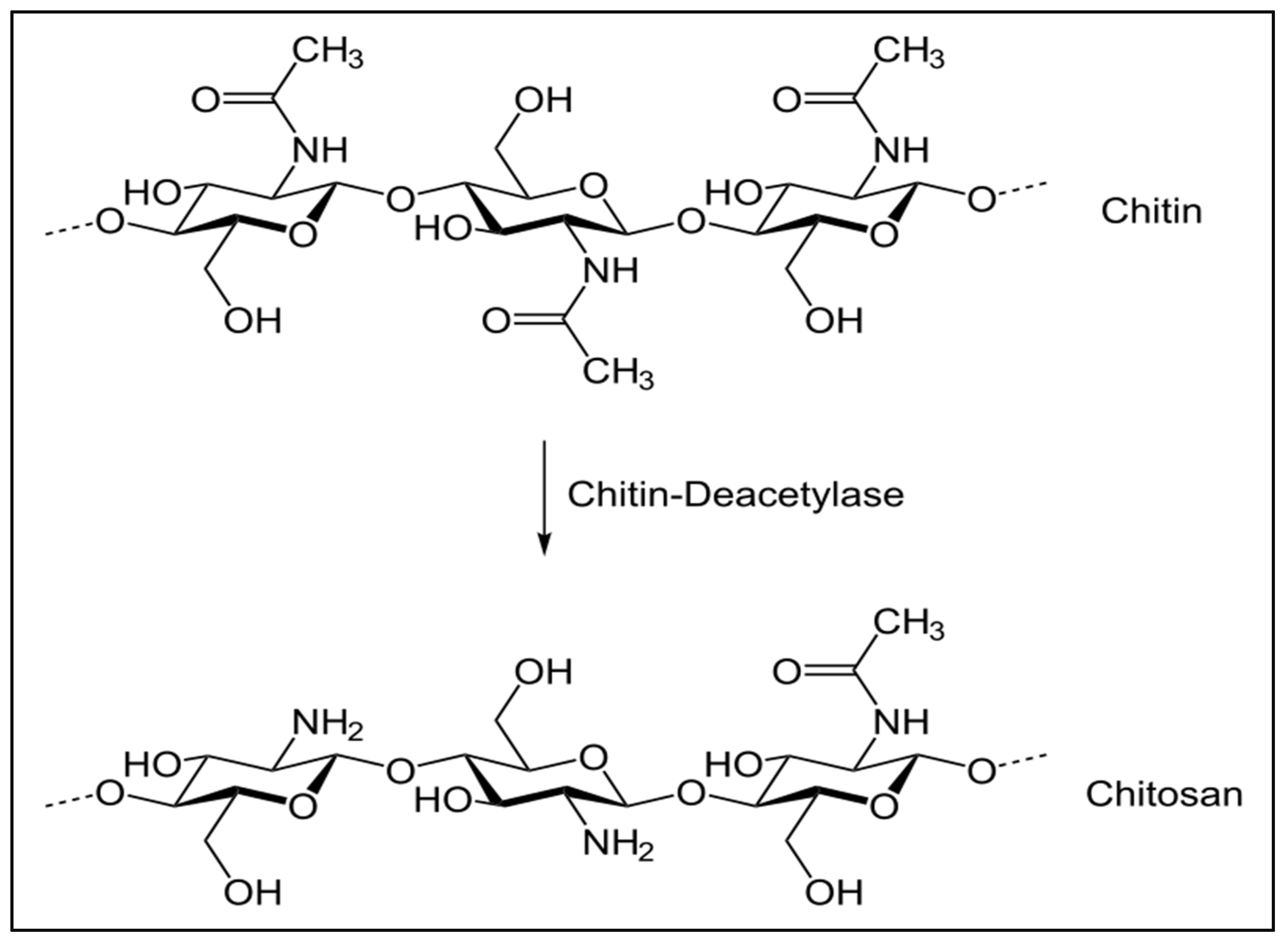 Polymers 15 00482 g001 Polymers 15 00482 g001