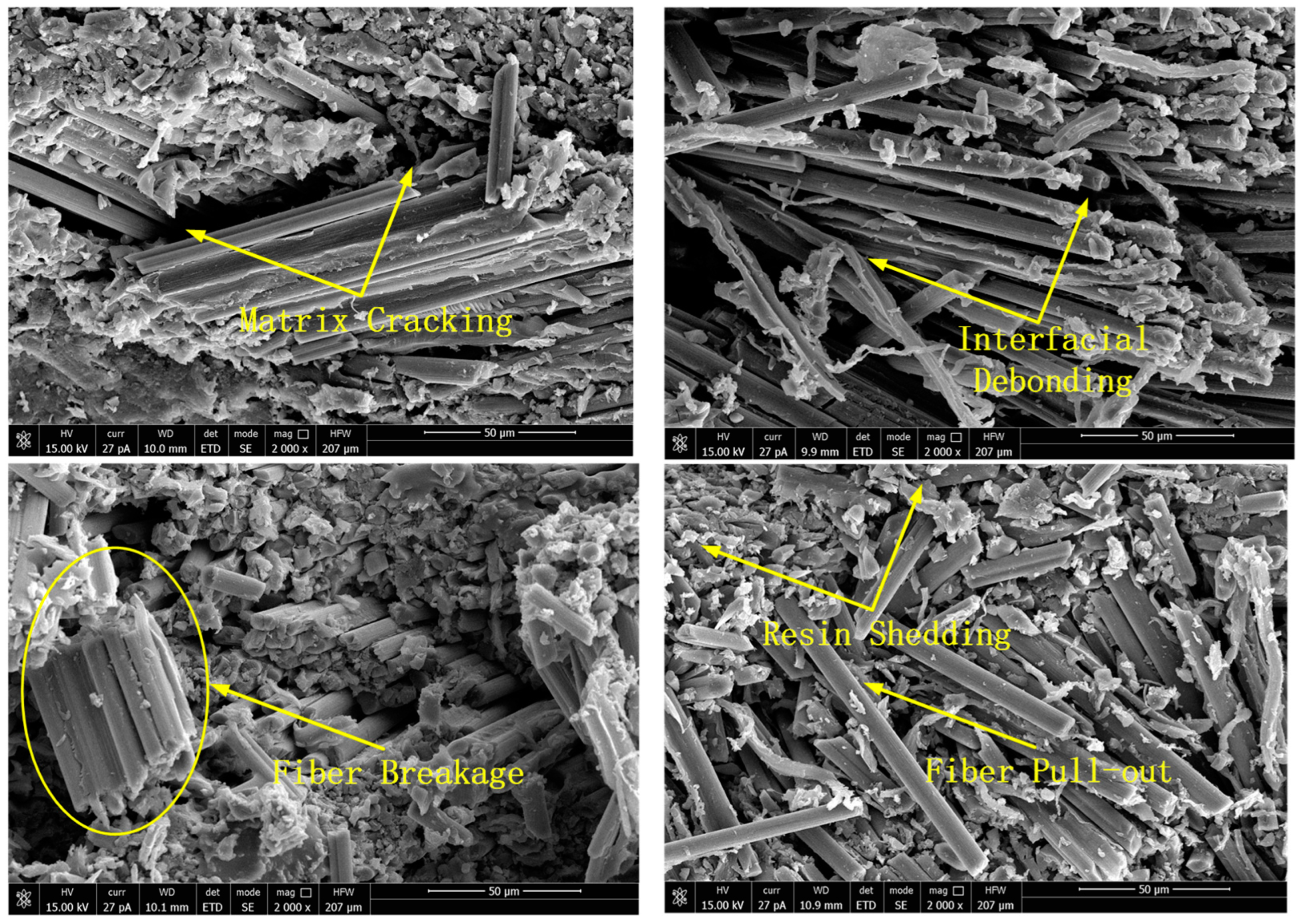 Polymers 15 00484 g009 Polymers 15 00484 g009