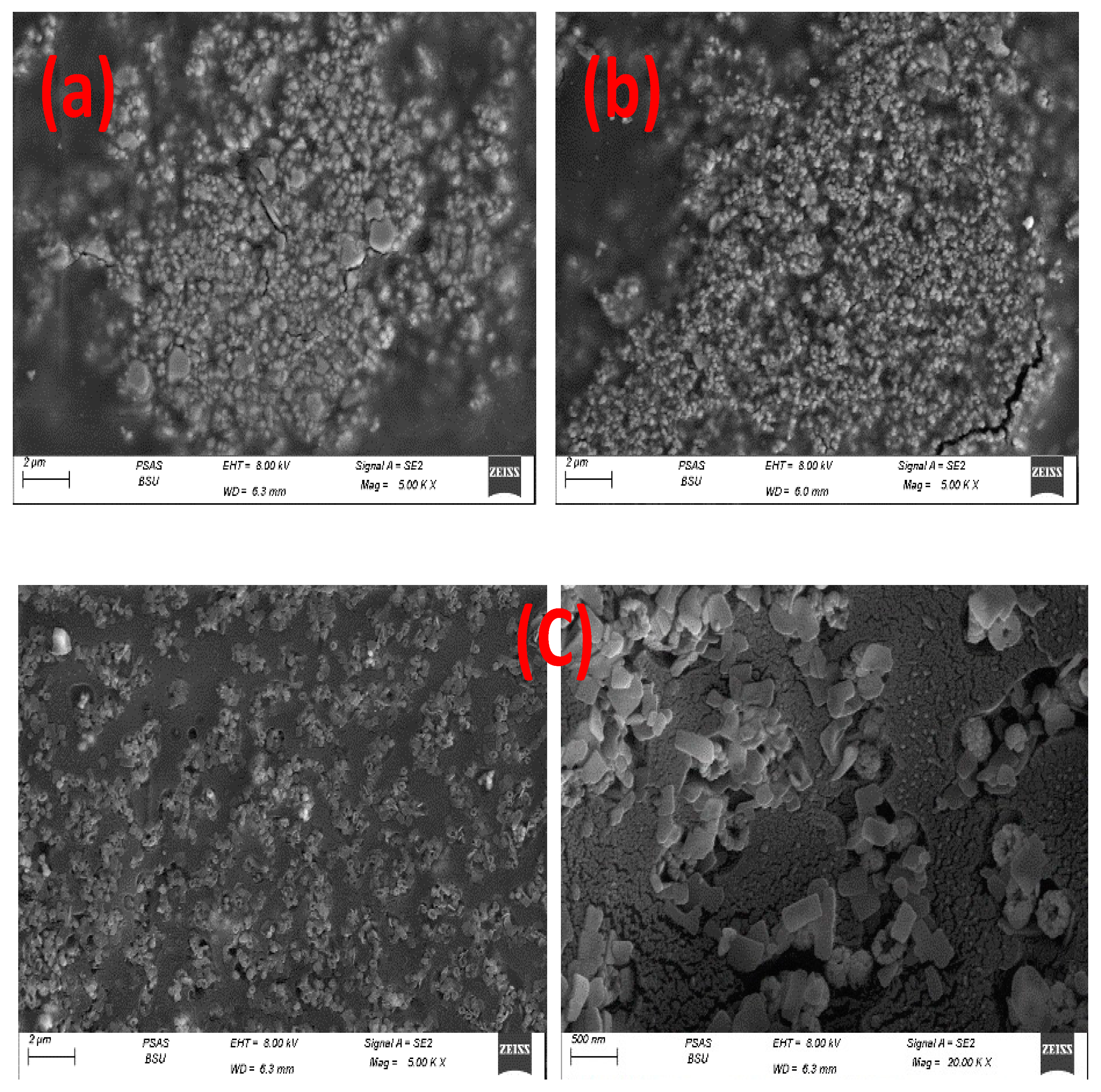 Polymers 15 00485 g004 Polymers 15 00485 g004