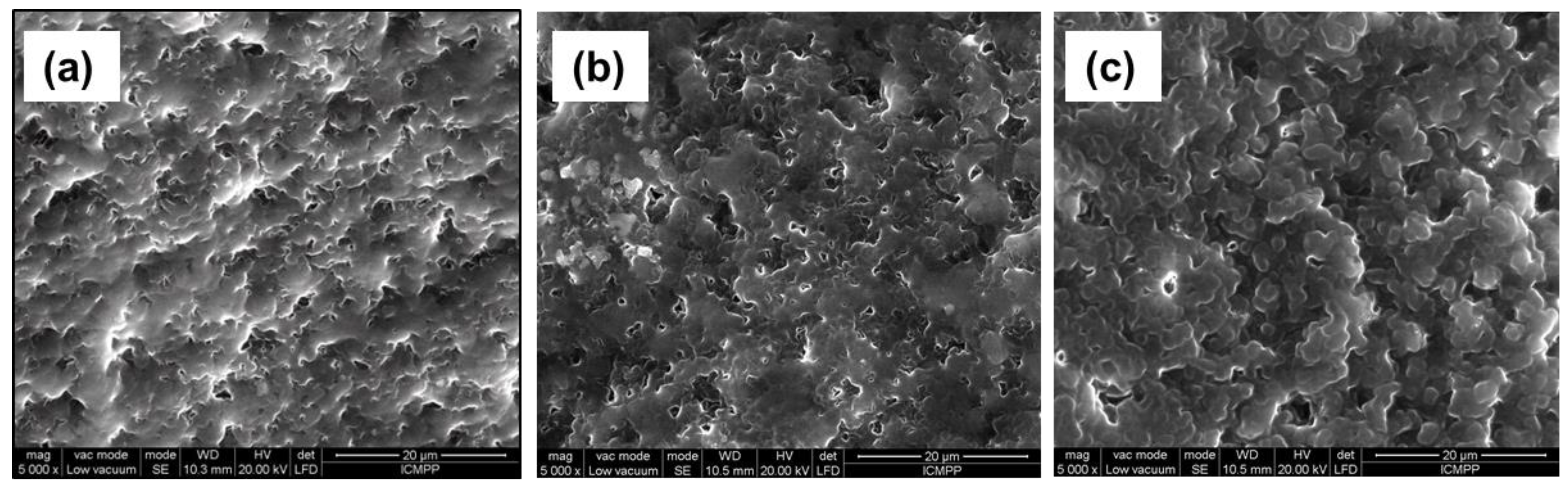 Polymers 15 00490 g004 Polymers 15 00490 g004